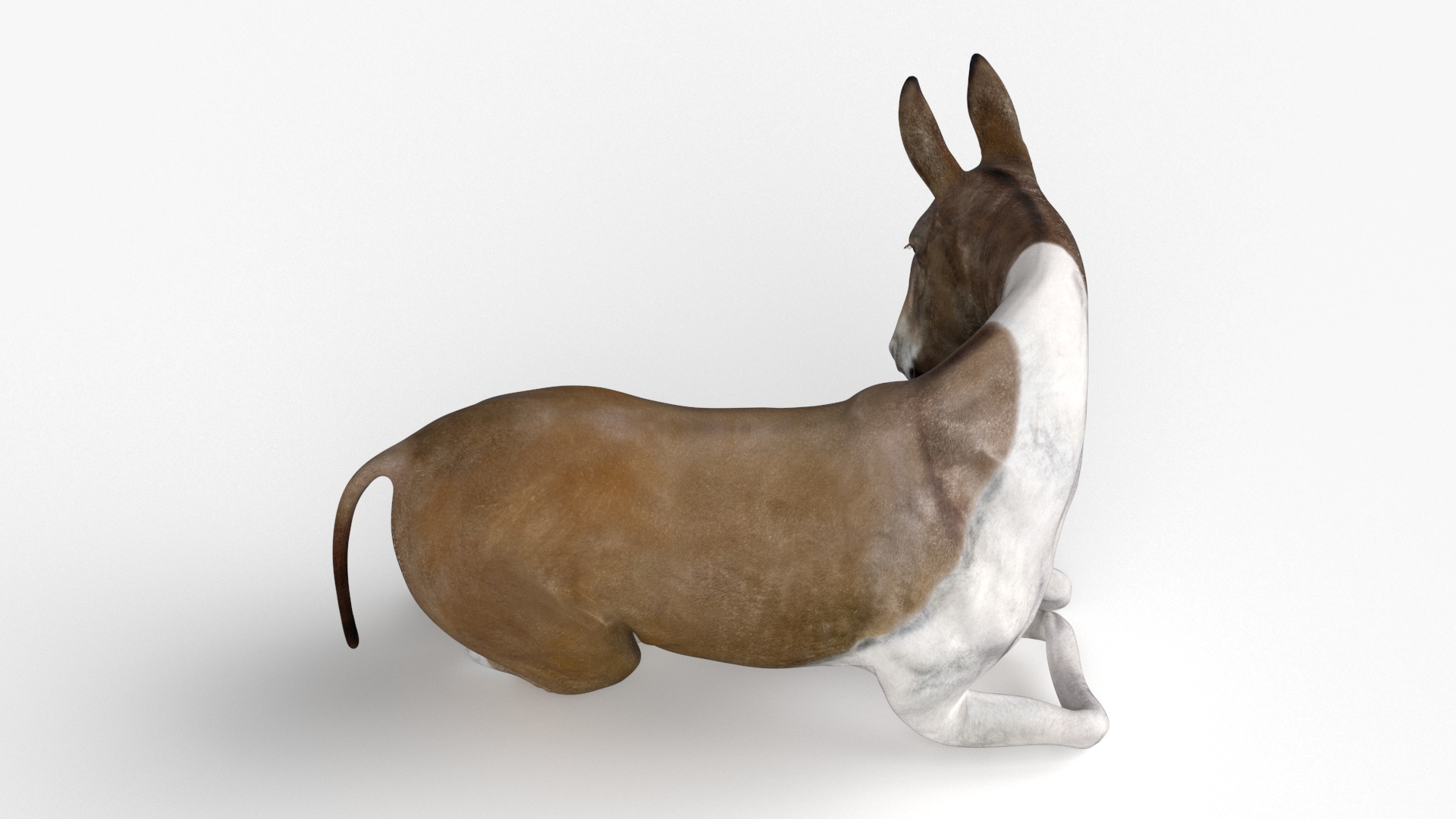 3D model Lying Mule