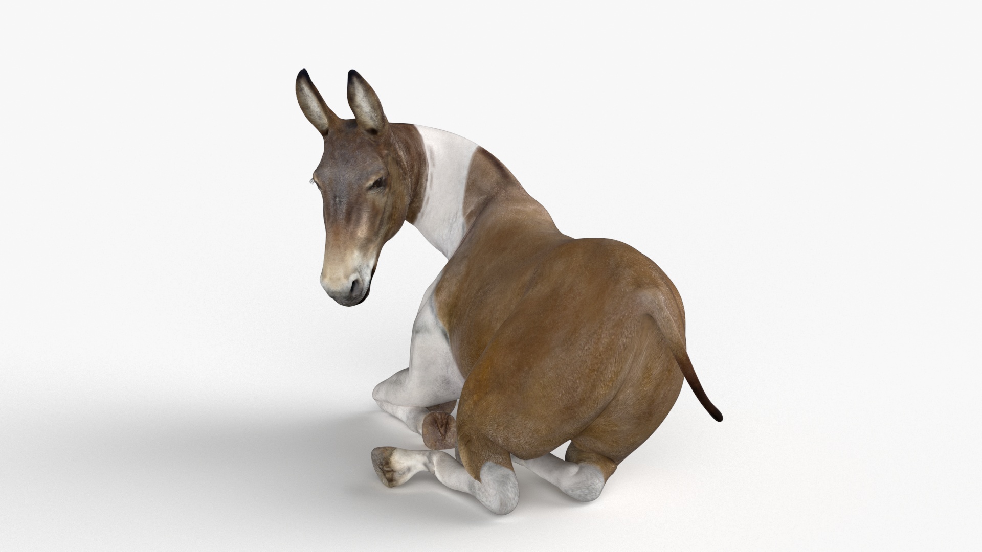 3D model Lying Mule