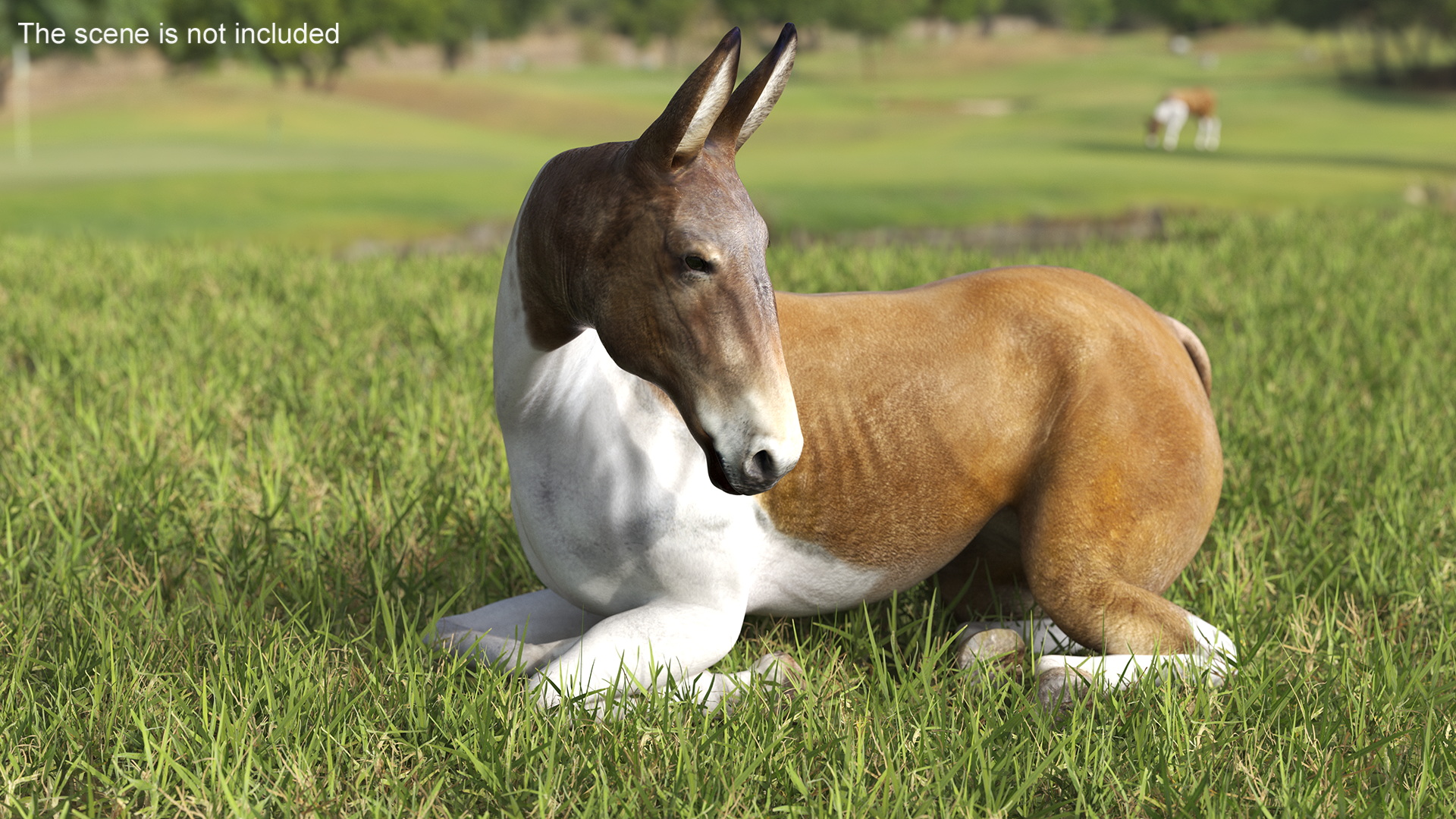 3D model Lying Mule