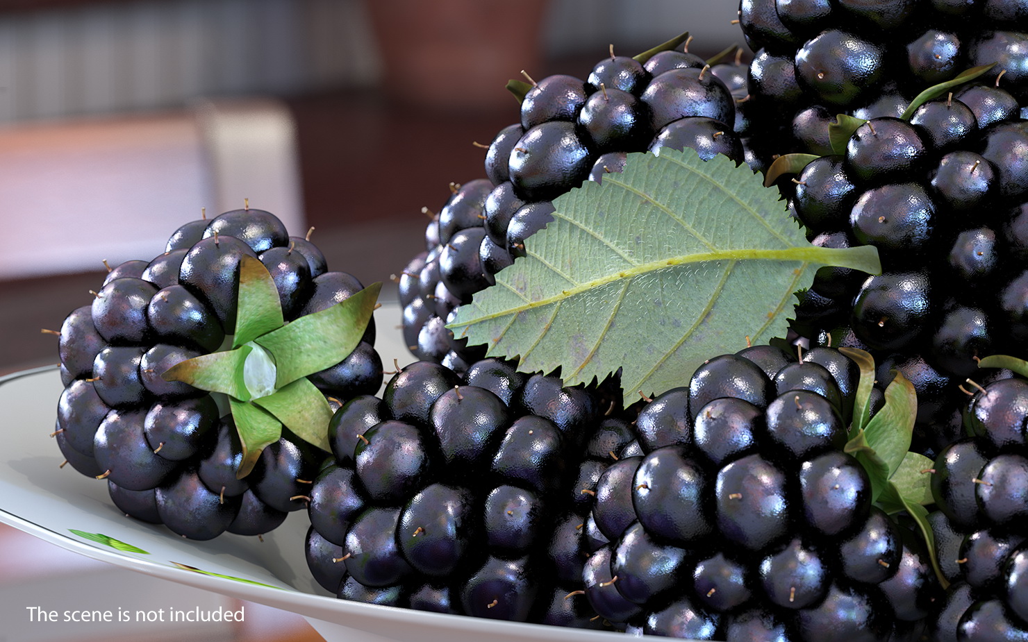 Blackberry Leaf with Fur 3D model