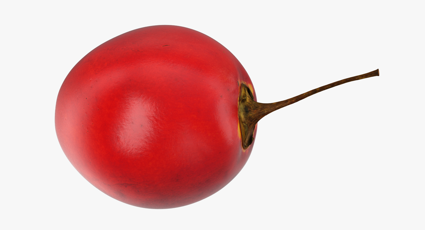 Tree Tomato Tamarillo Whole Half 3D