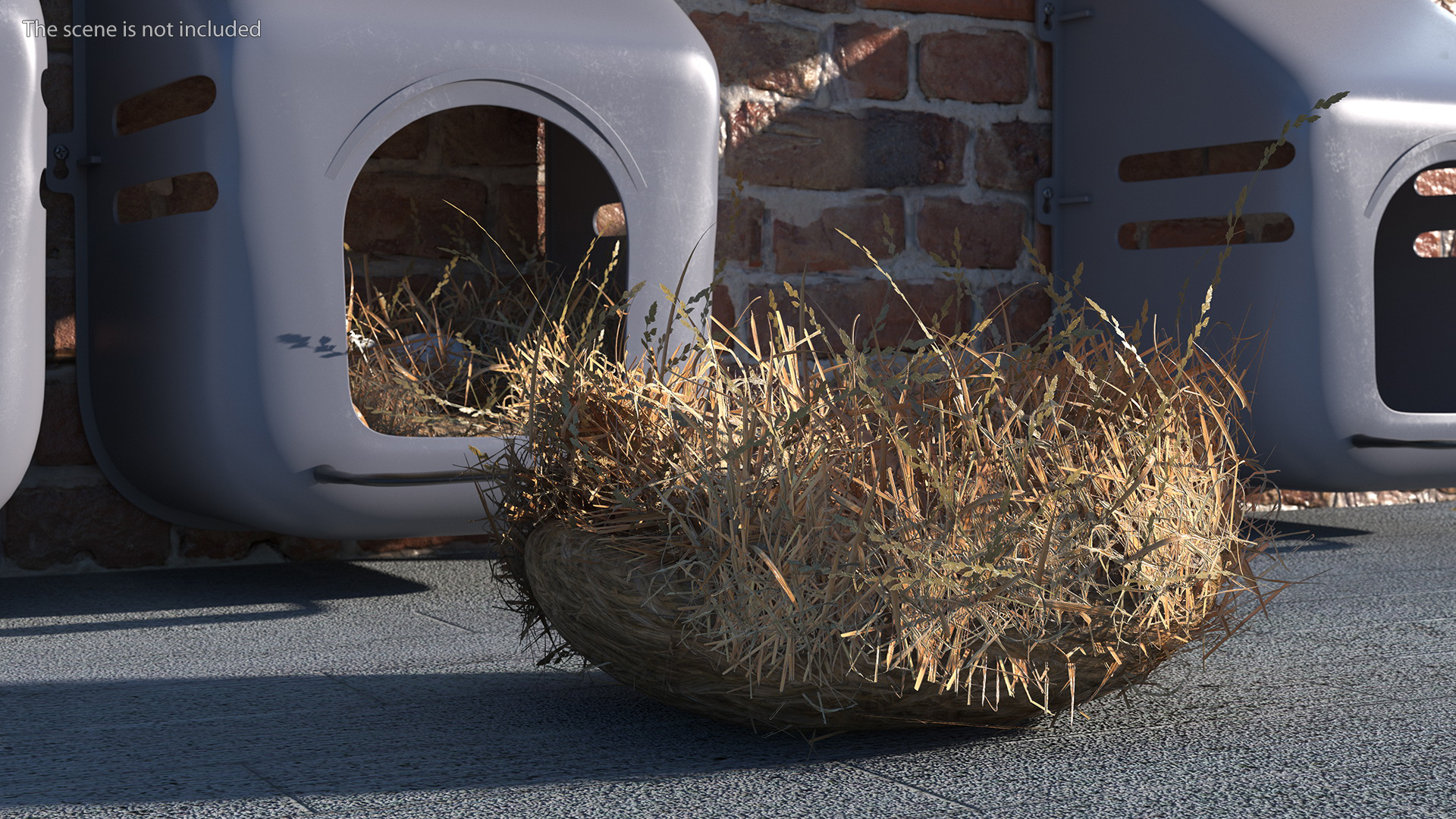 3D Straw Nest with Quail Eggs