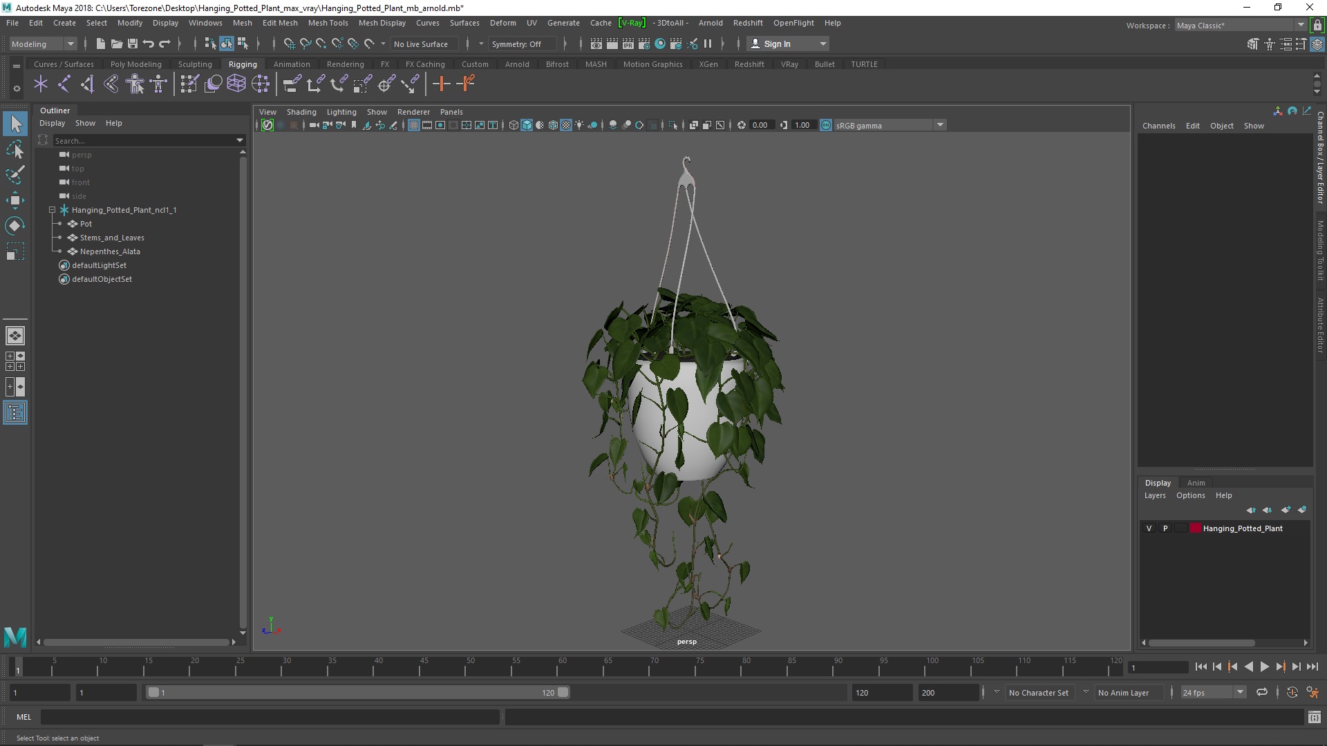 3D model Hanging Potted Plant