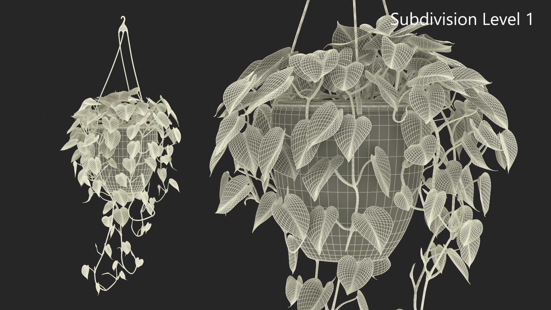 3D model Hanging Potted Plant