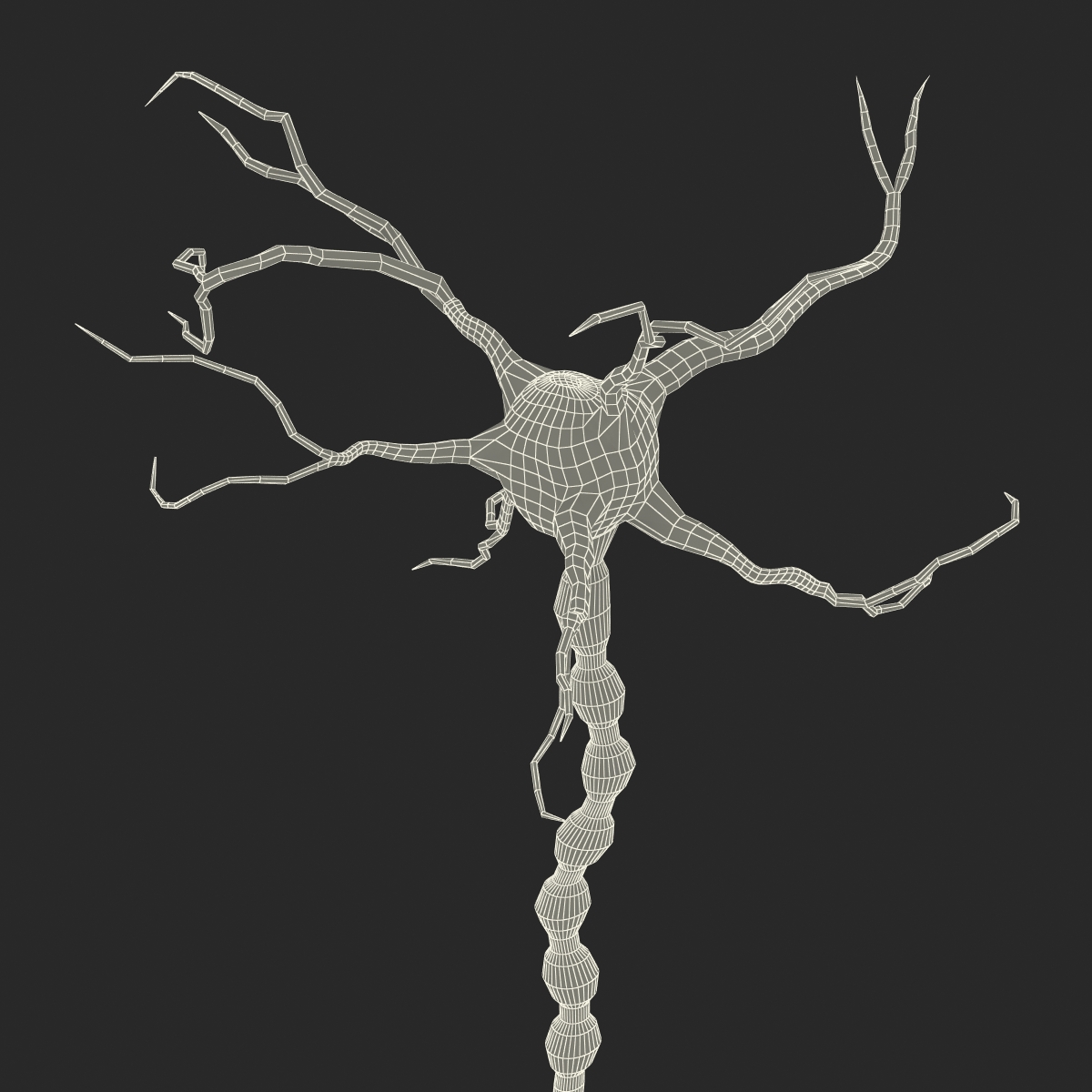 3D model Neuron