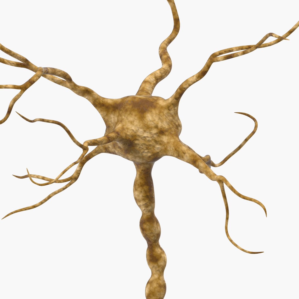 3D model Neuron