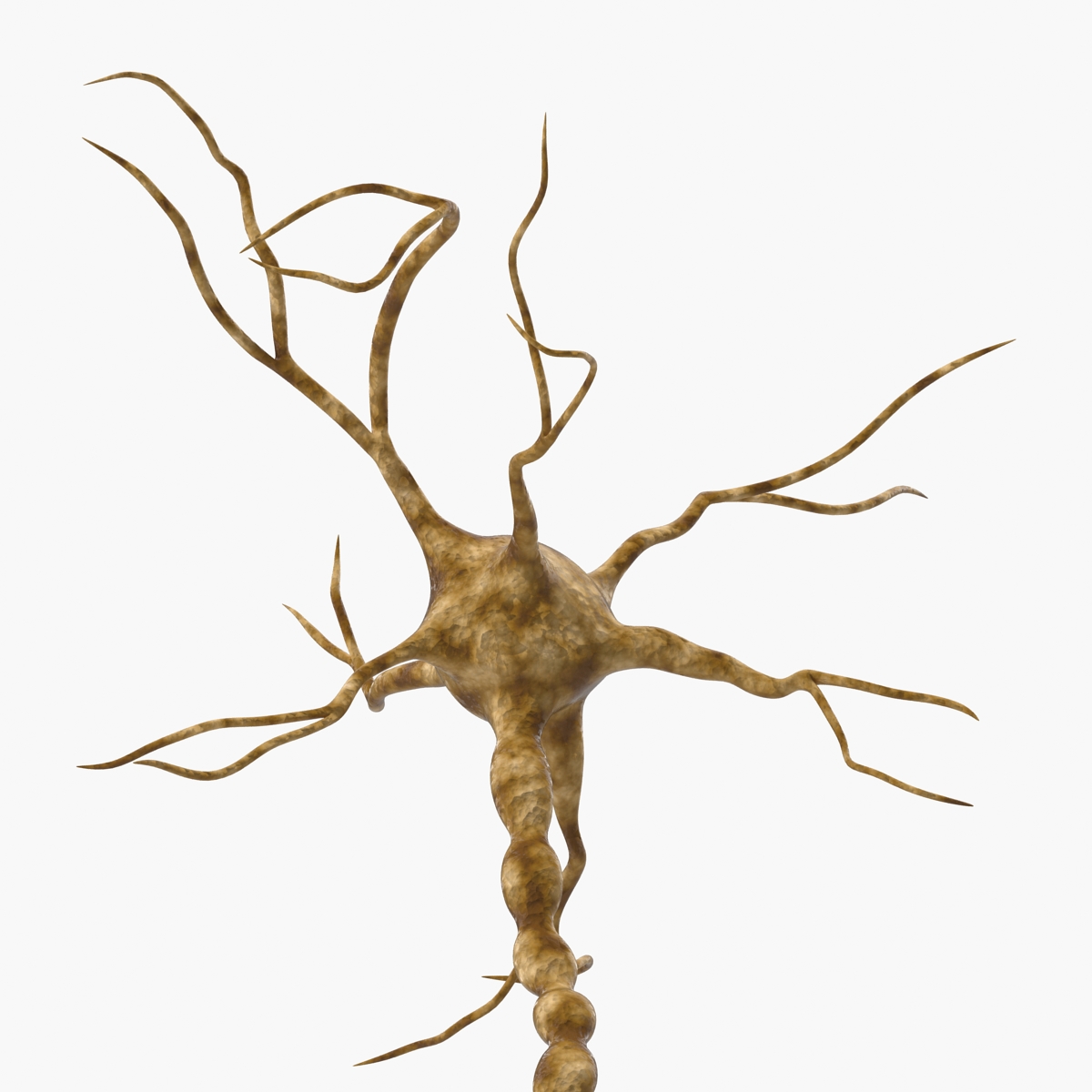 3D model Neuron