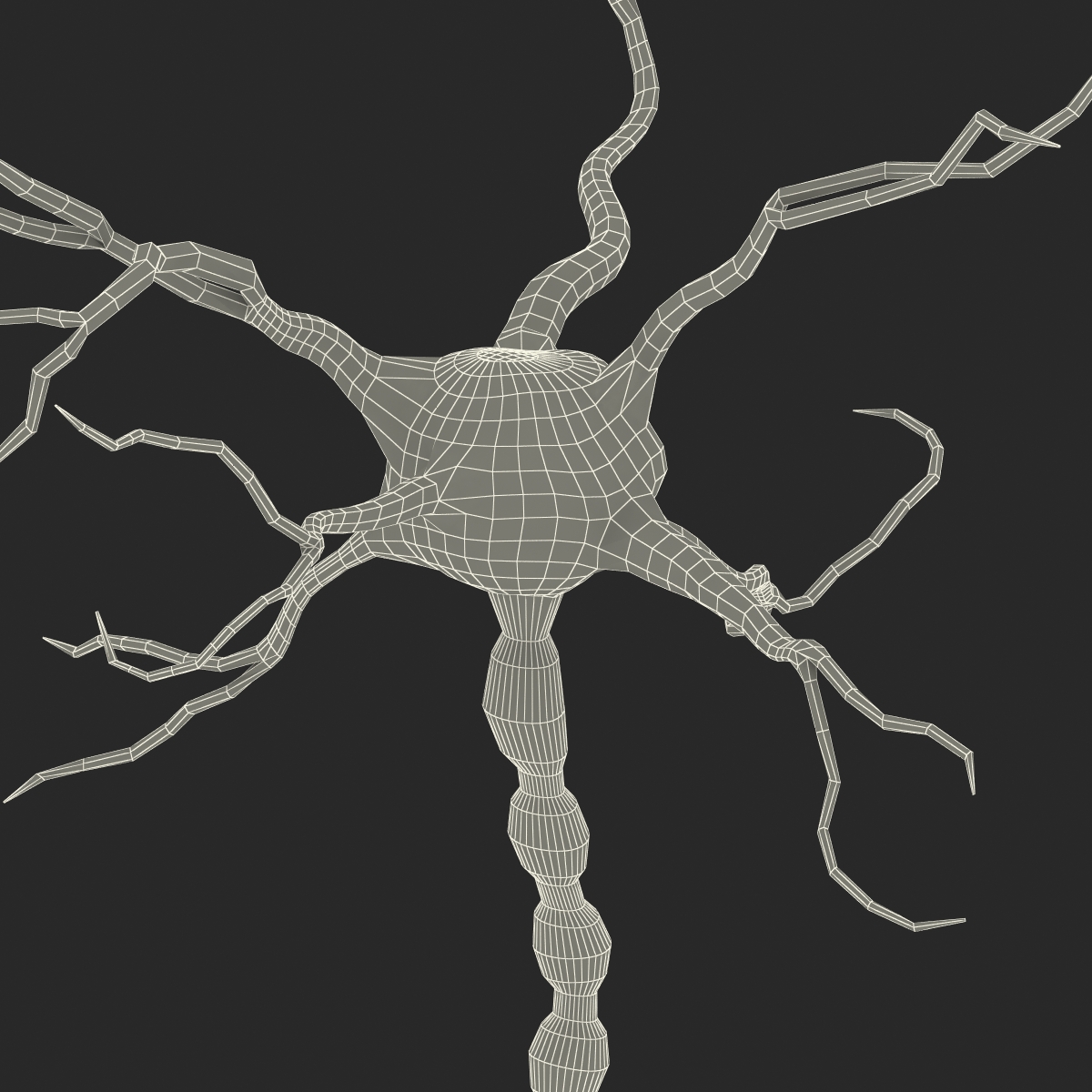 3D model Neuron