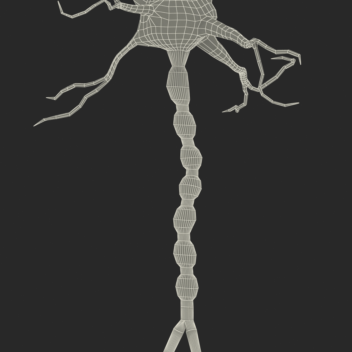 3D model Neuron