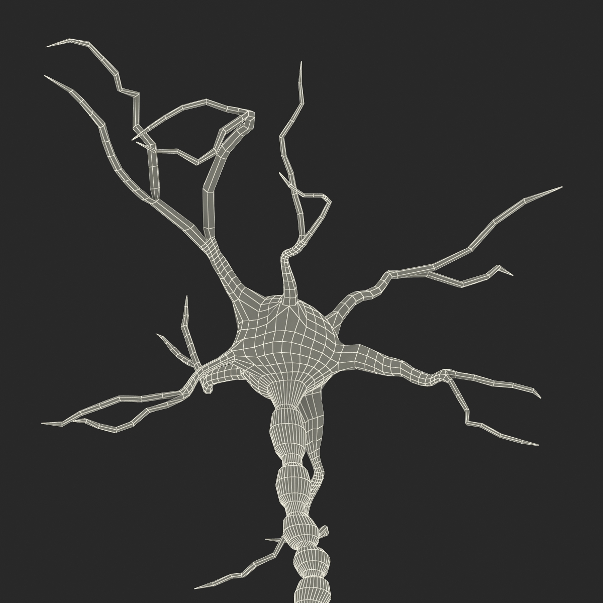 3D model Neuron