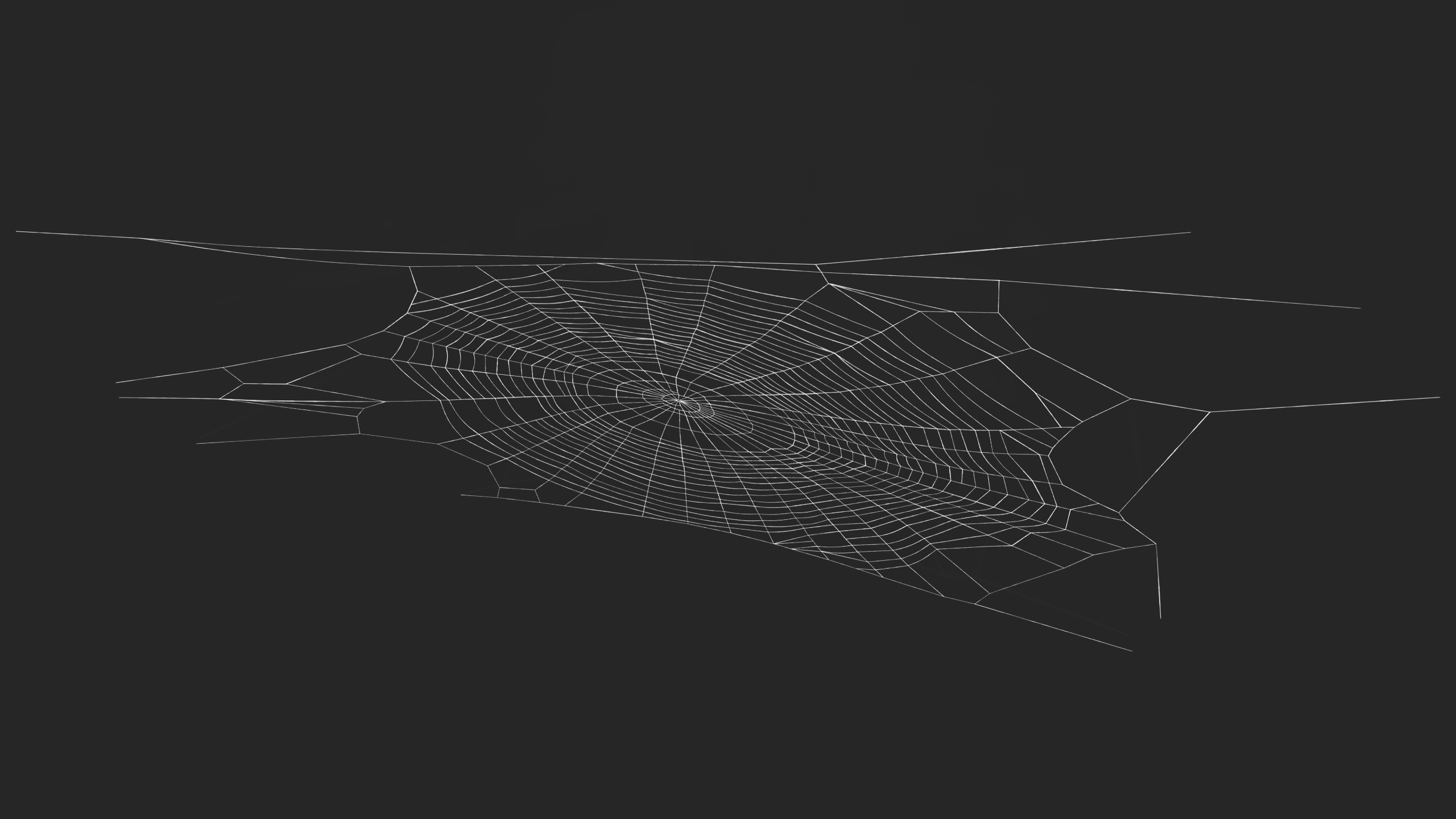 3D Round Spider Web