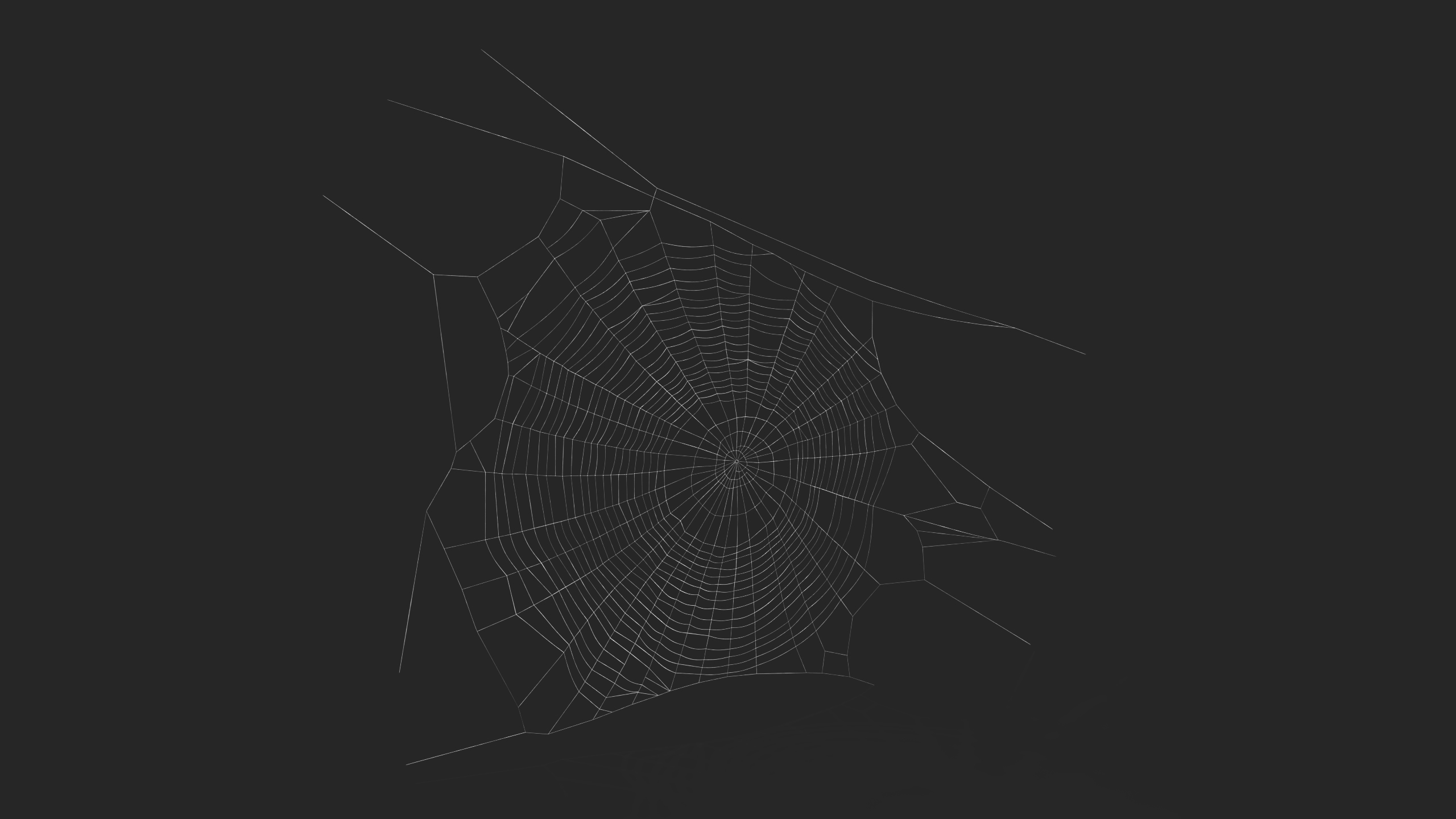 3D Round Spider Web