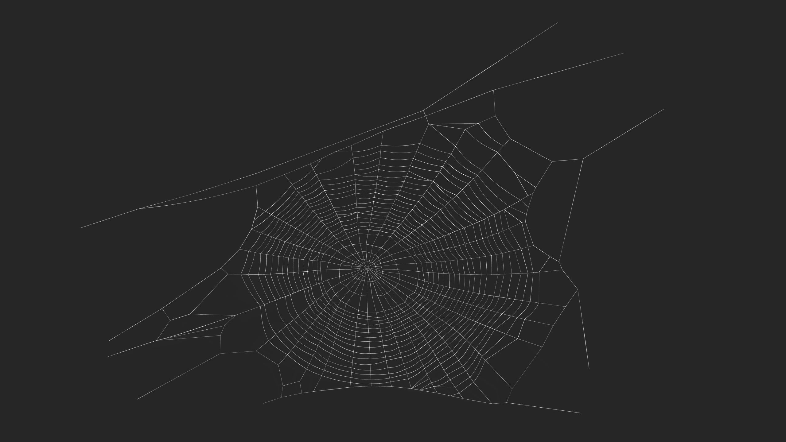 3D Round Spider Web