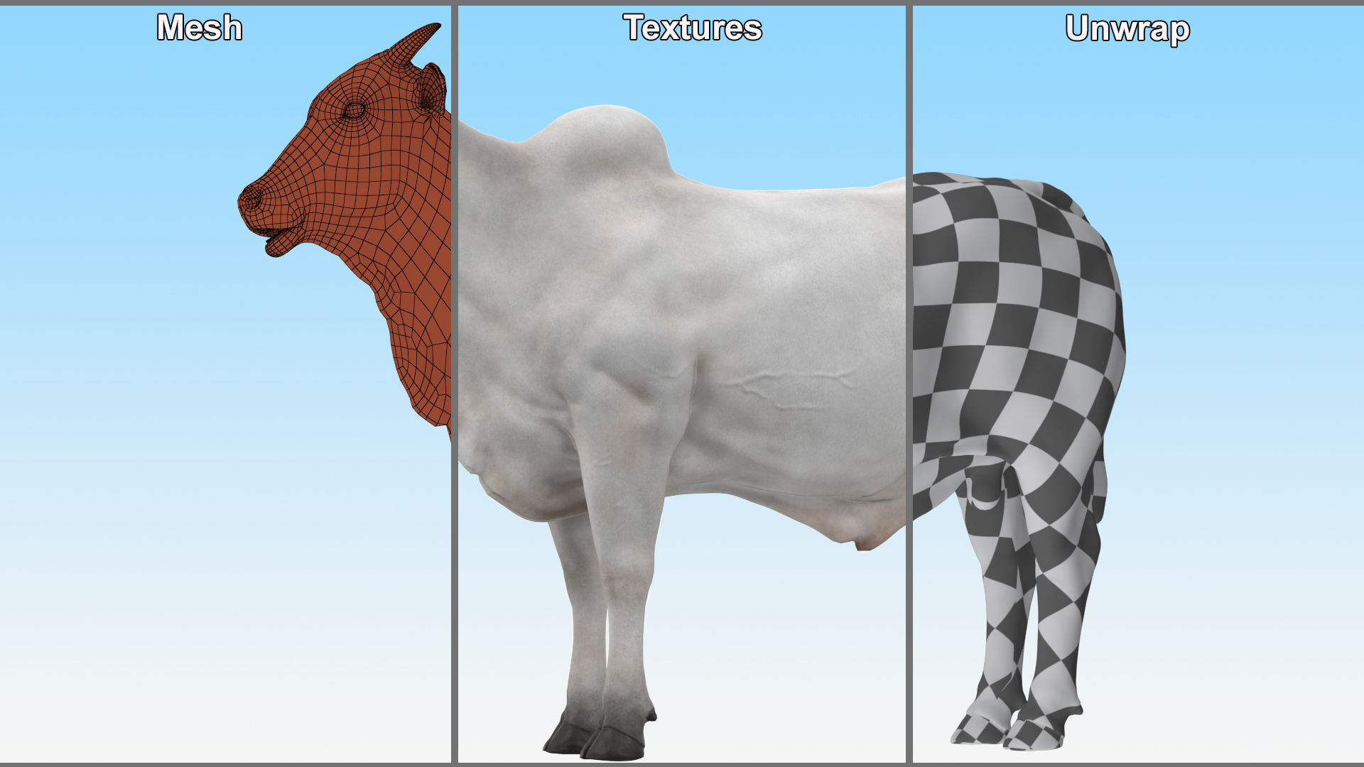 3D Ongole Cattle Male model