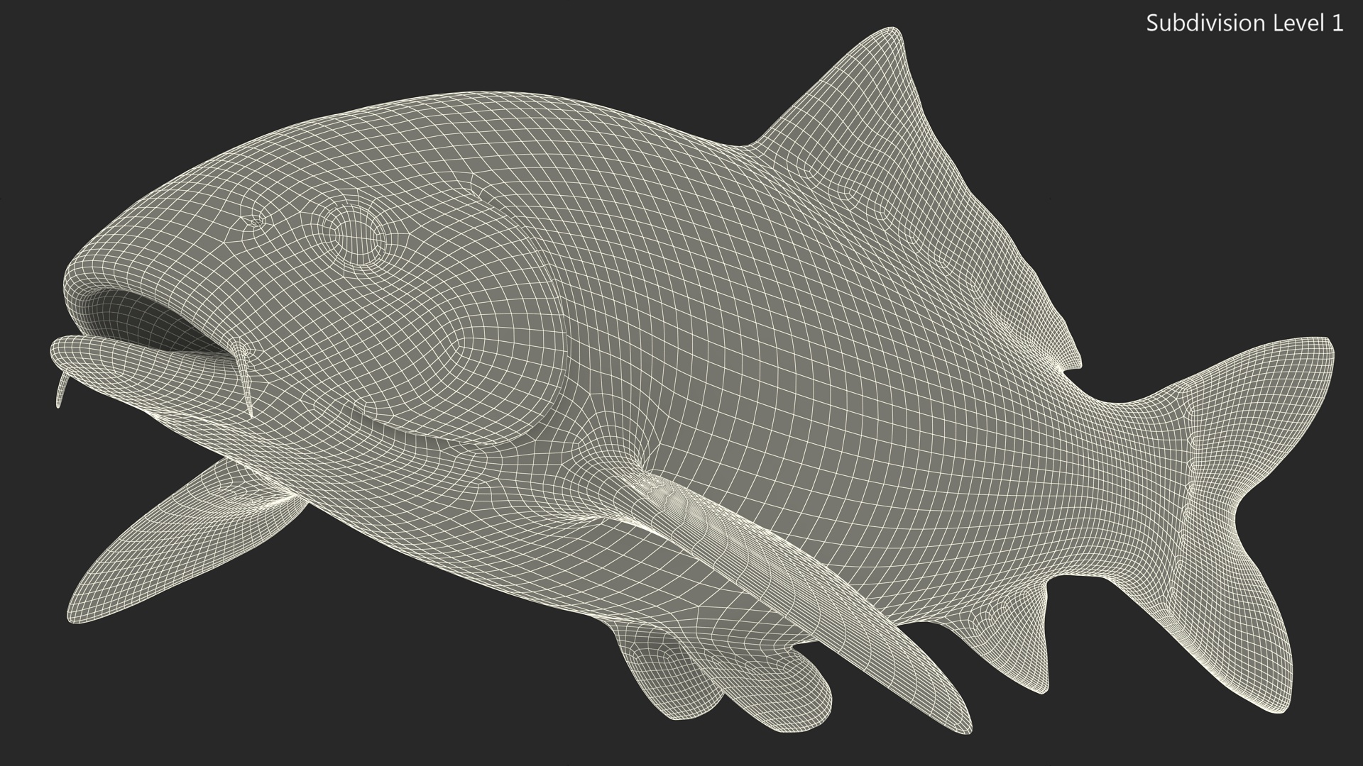 3D Harivake Koi Fish Rigged for Maya model