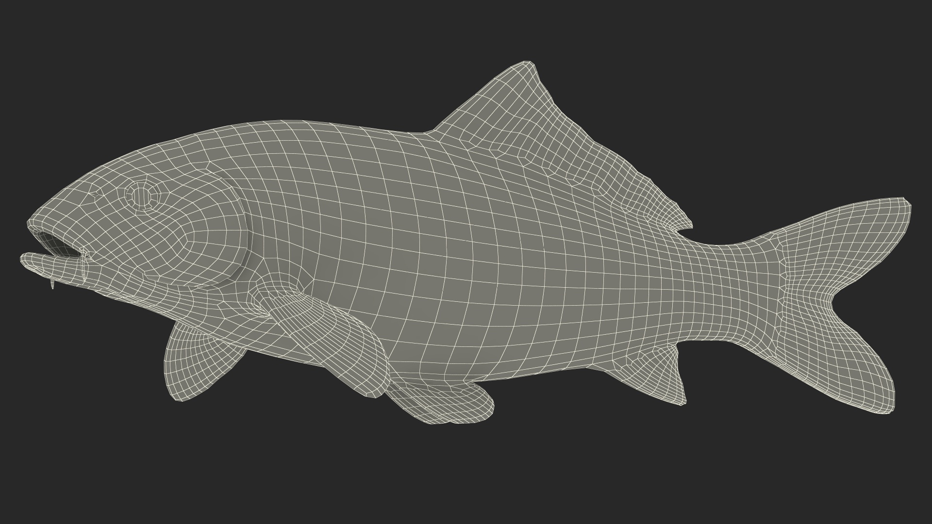 3D Harivake Koi Fish Rigged for Maya model