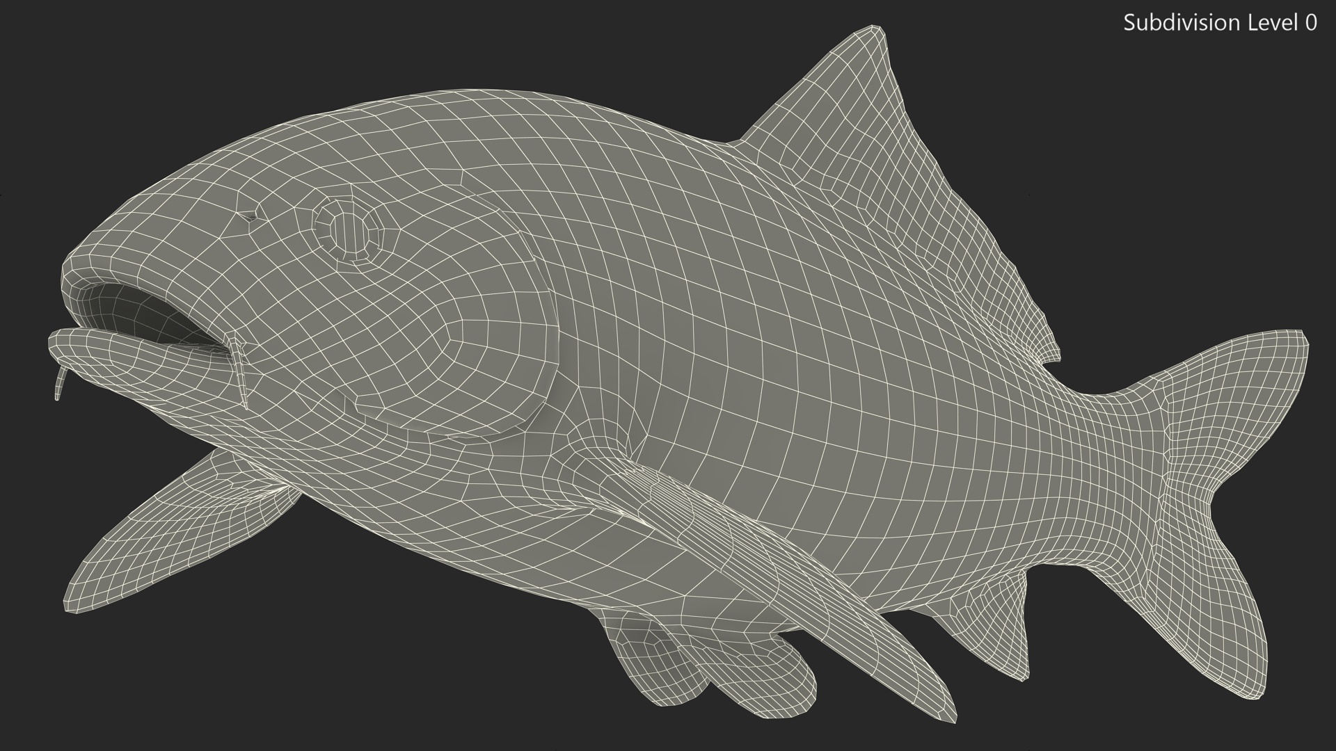 3D Harivake Koi Fish Rigged for Maya model