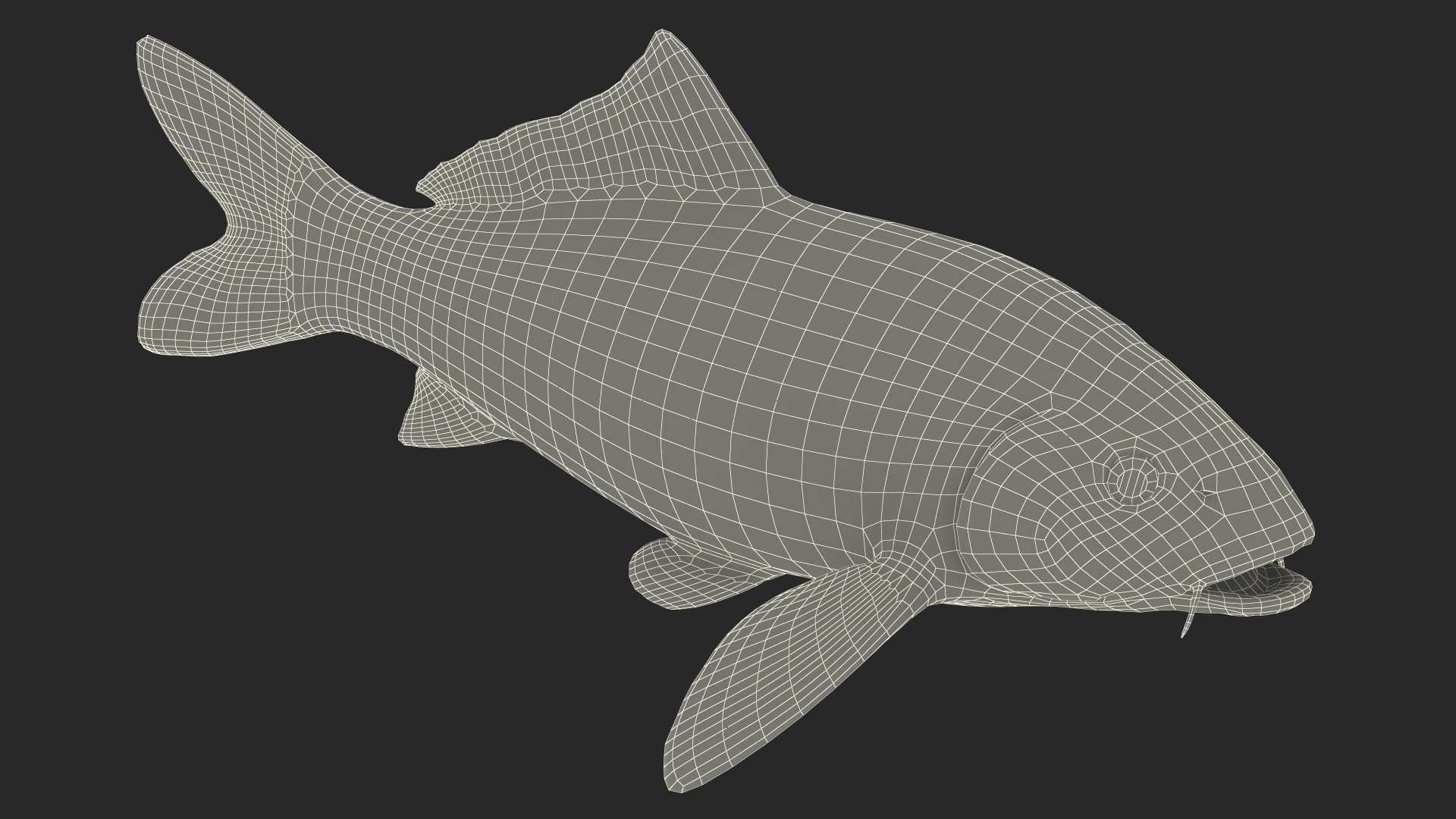 3D Harivake Koi Fish Rigged for Maya model