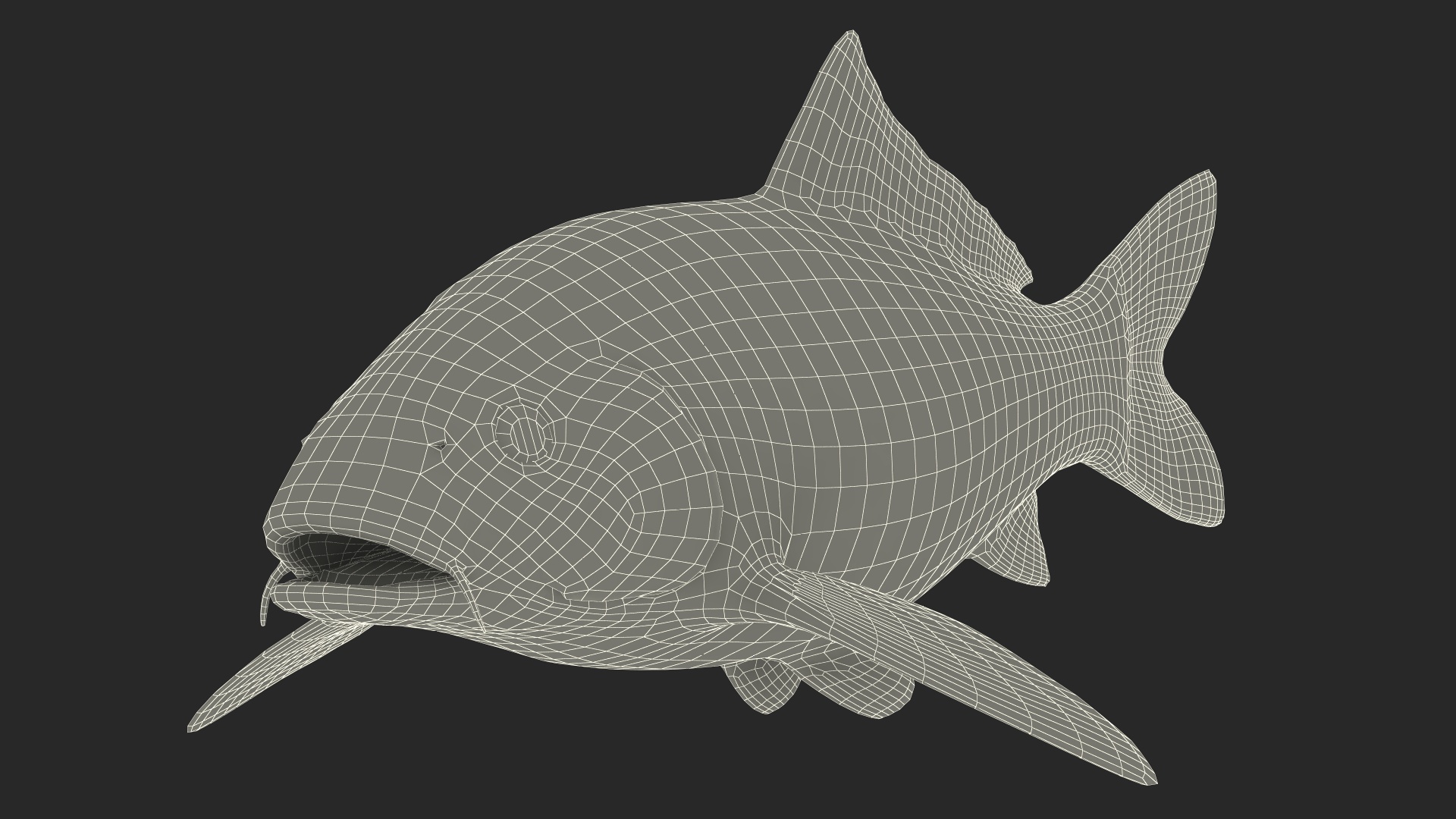 3D Harivake Koi Fish Rigged for Maya model