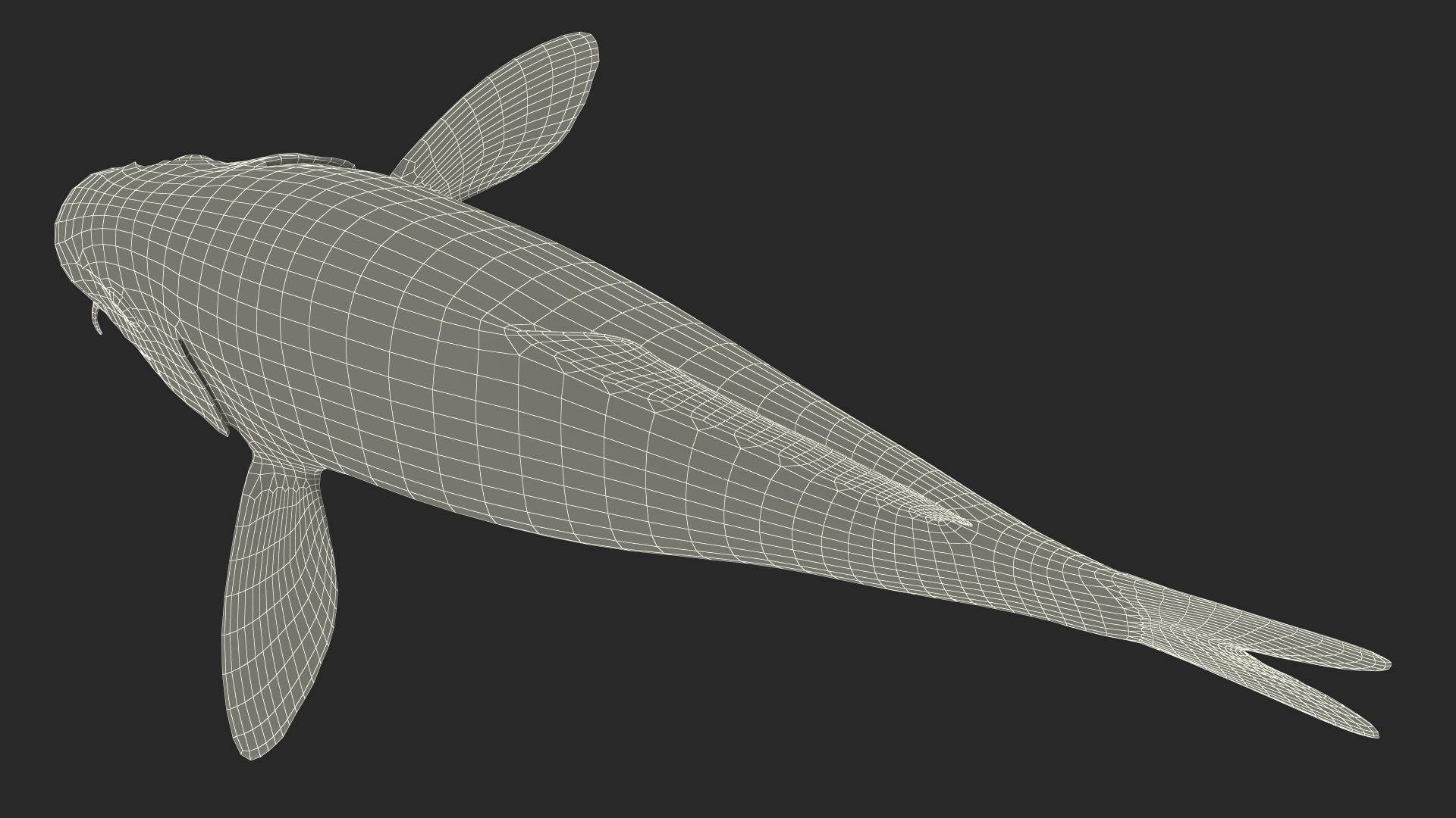 3D Harivake Koi Fish Rigged for Maya model