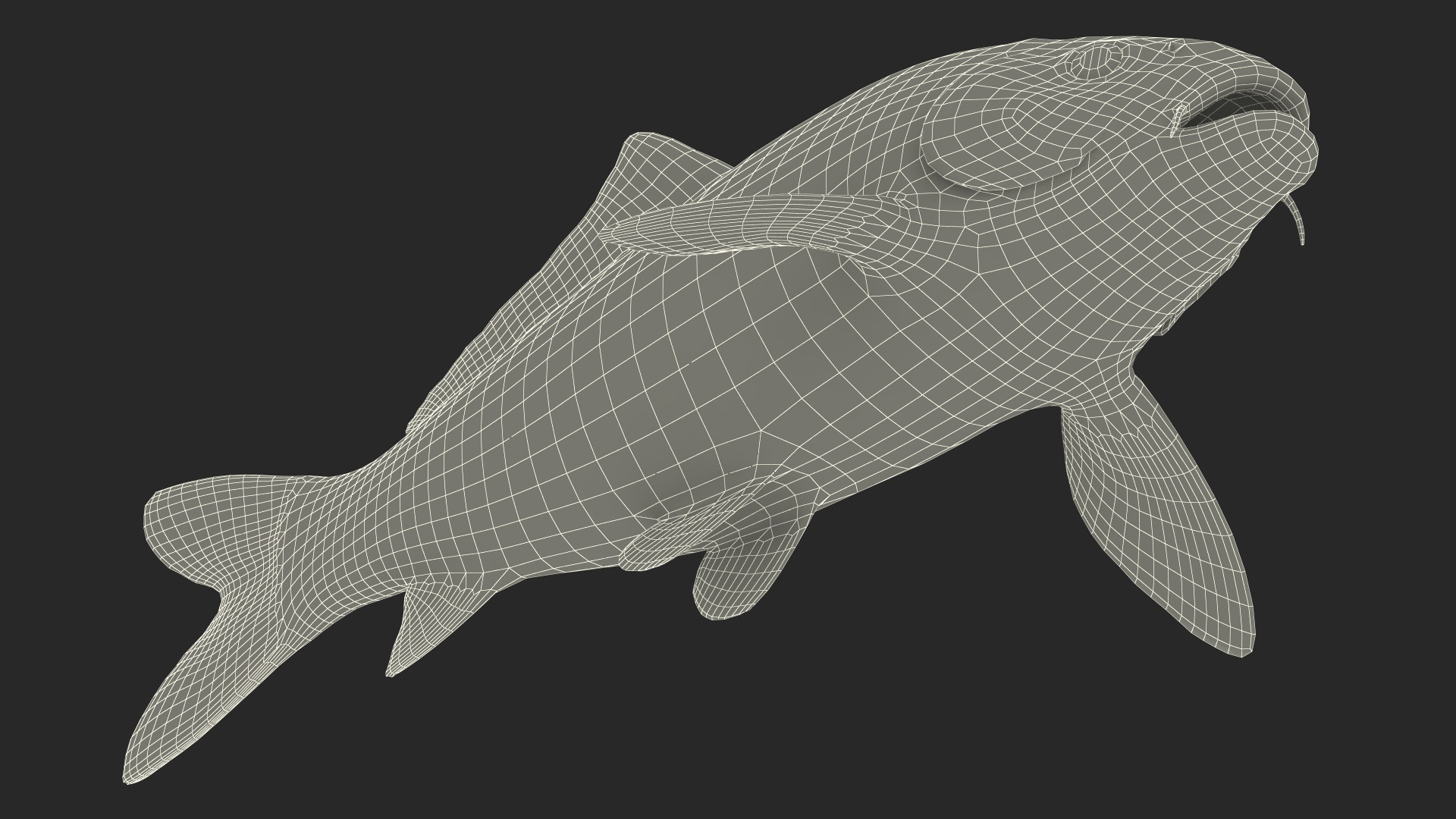 3D Harivake Koi Fish Rigged for Maya model