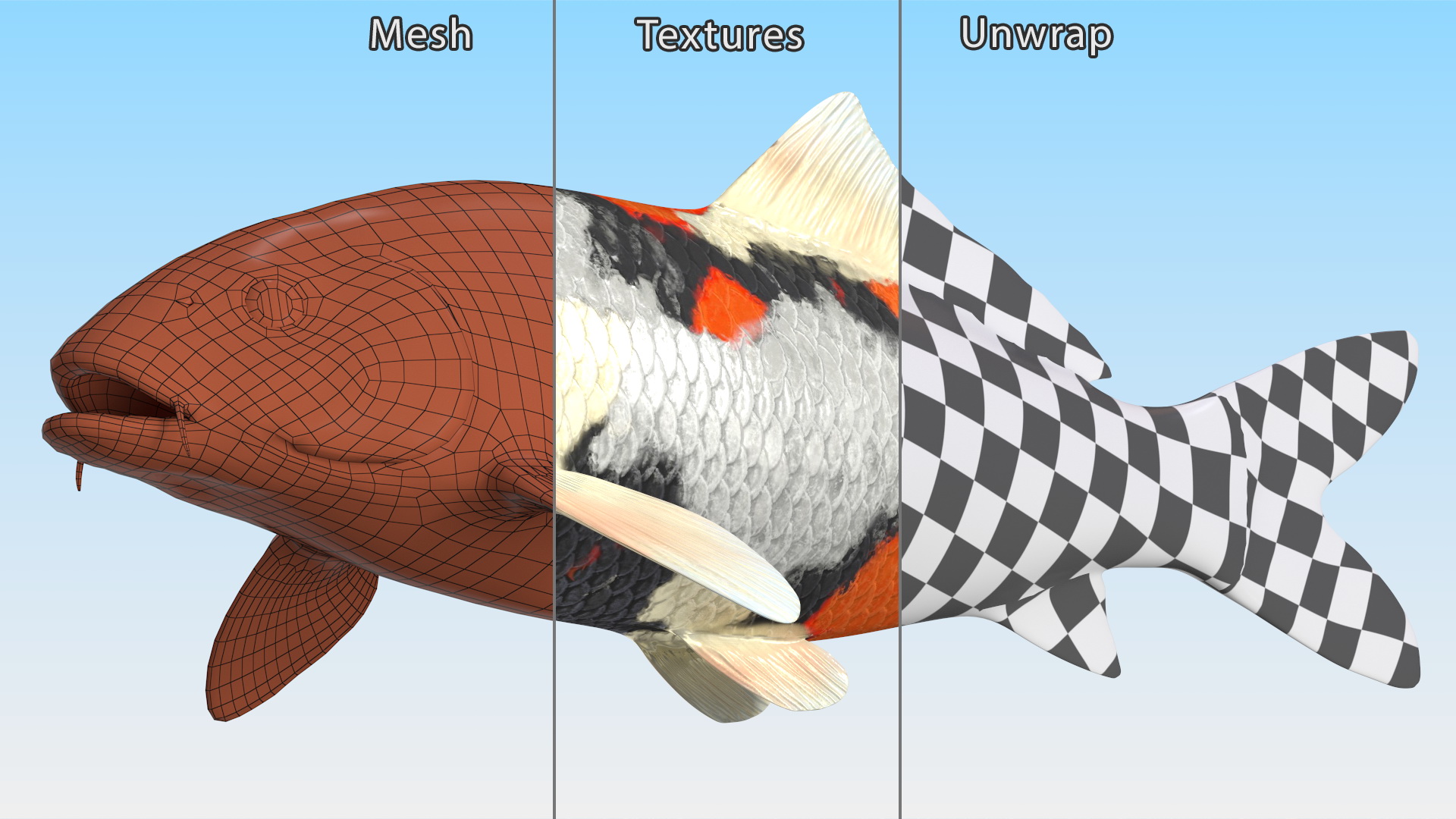 3D Harivake Koi Fish Rigged for Maya model