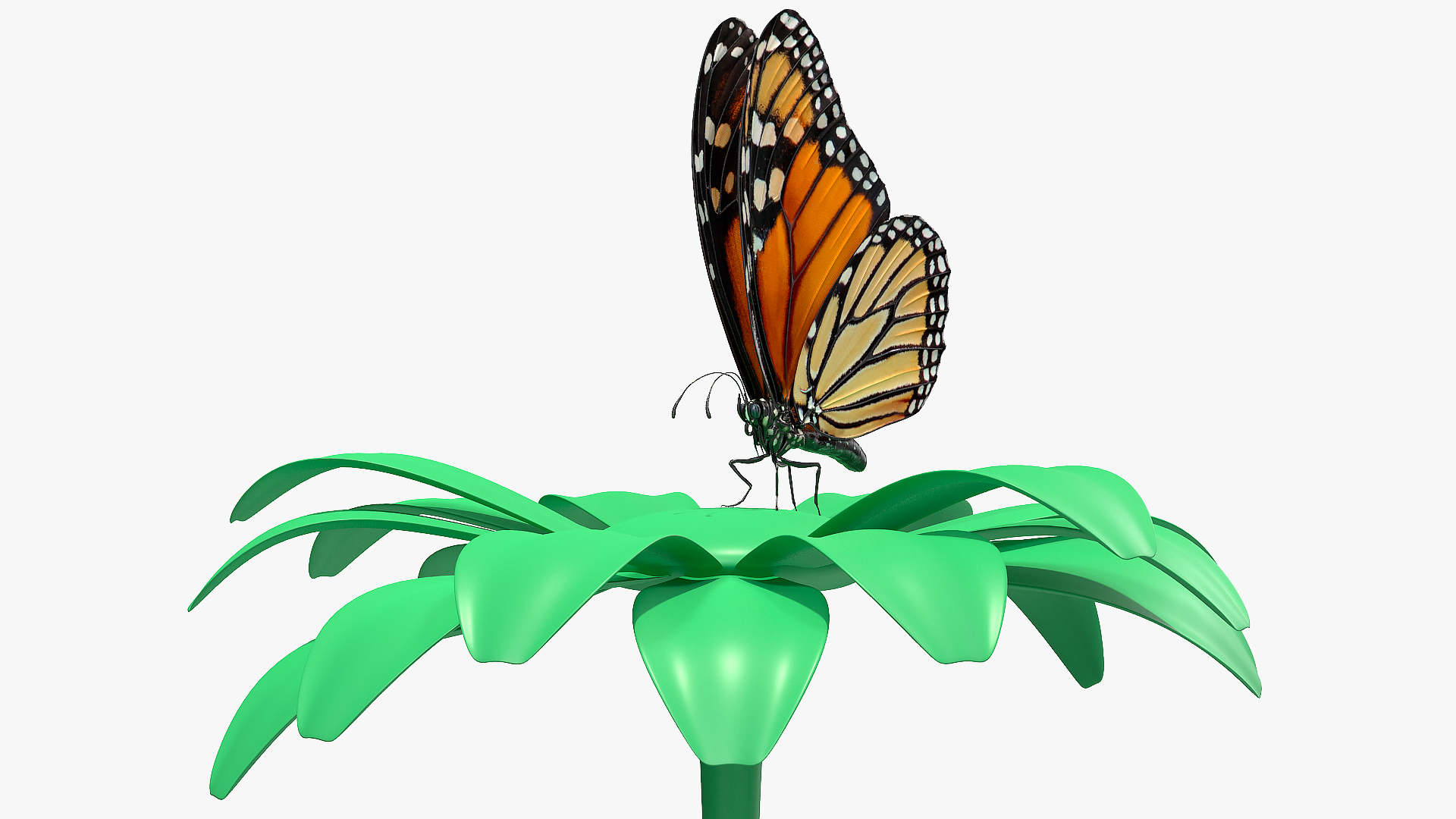 Animated Monarch Butterfly Takes Off from Flower with Fur Rigged 3D model