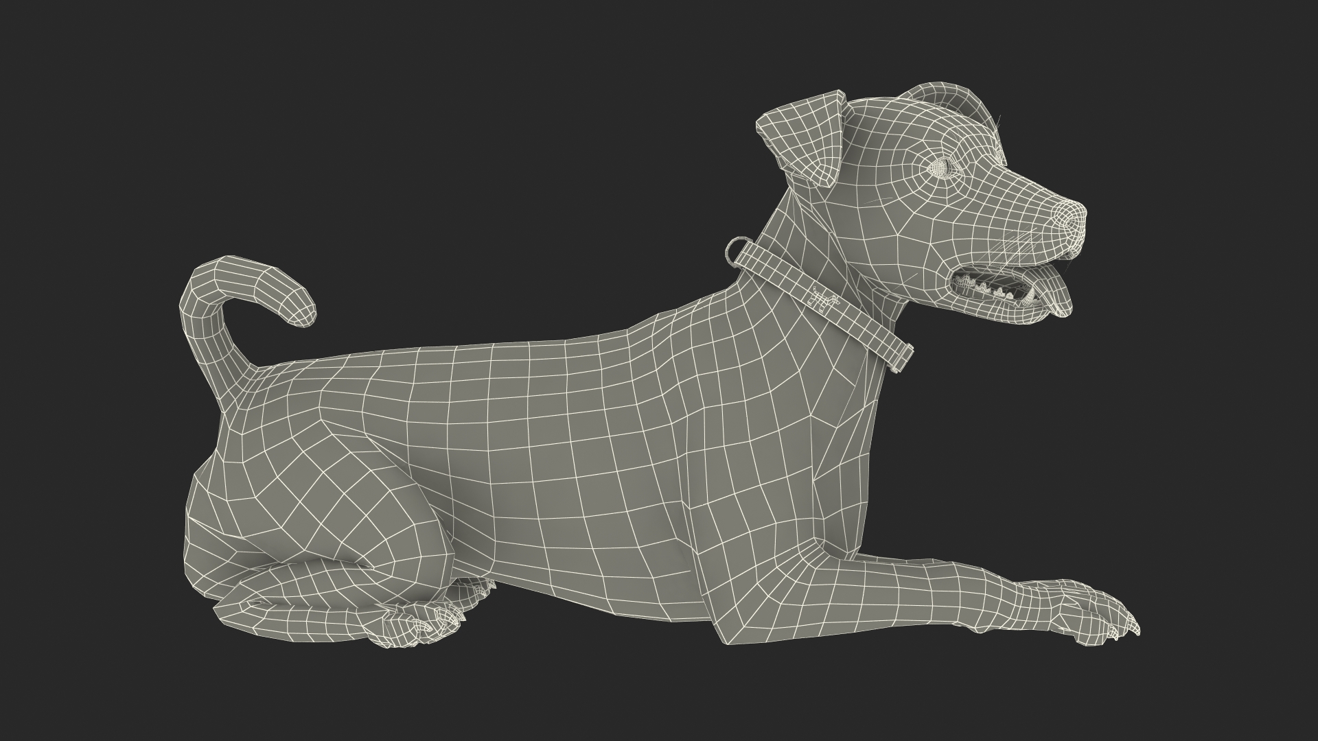 3D model Spotted Jack Russell Terrier Rigged