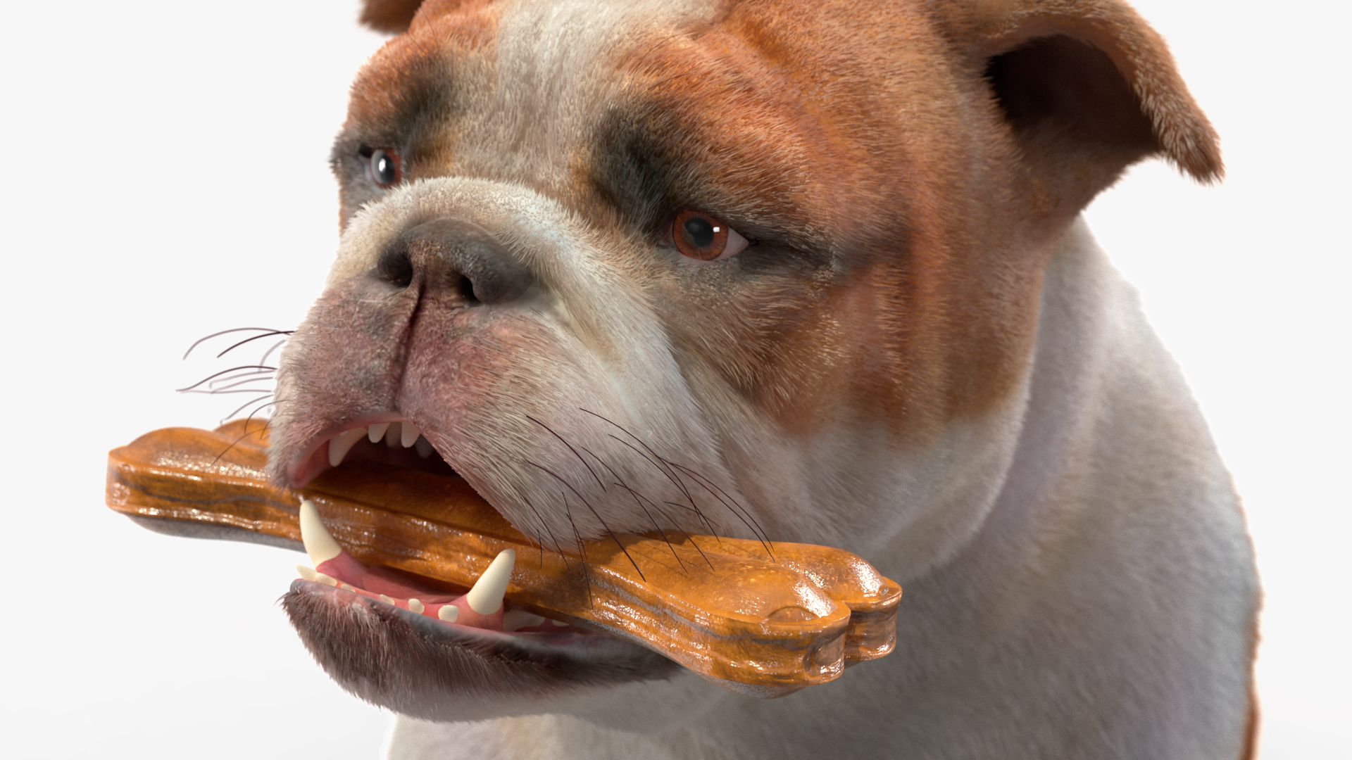 Bulldog with a Chewing Bone in His Mouth Fur 3D model