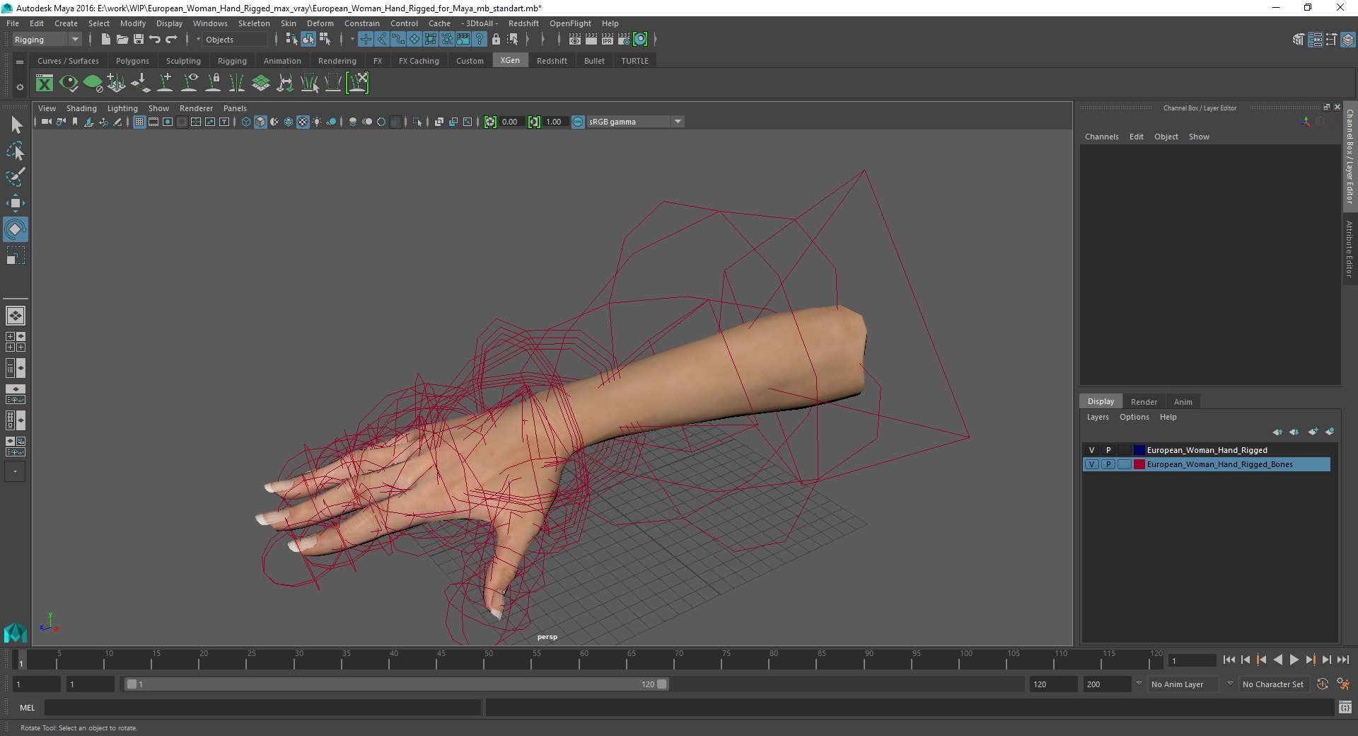 3D model European Woman Hand Rigged for Maya