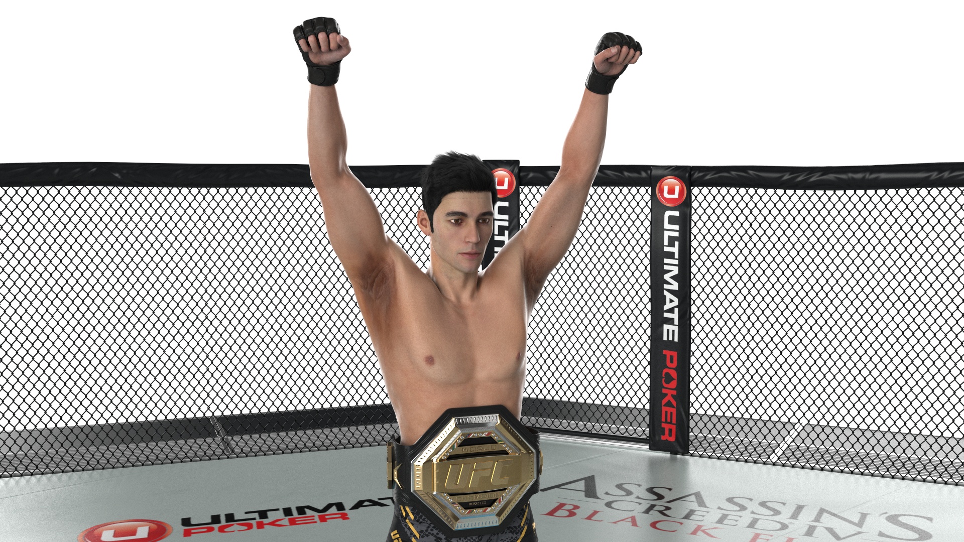 3D model UFC Fighting Arena with MMA Champion Fur