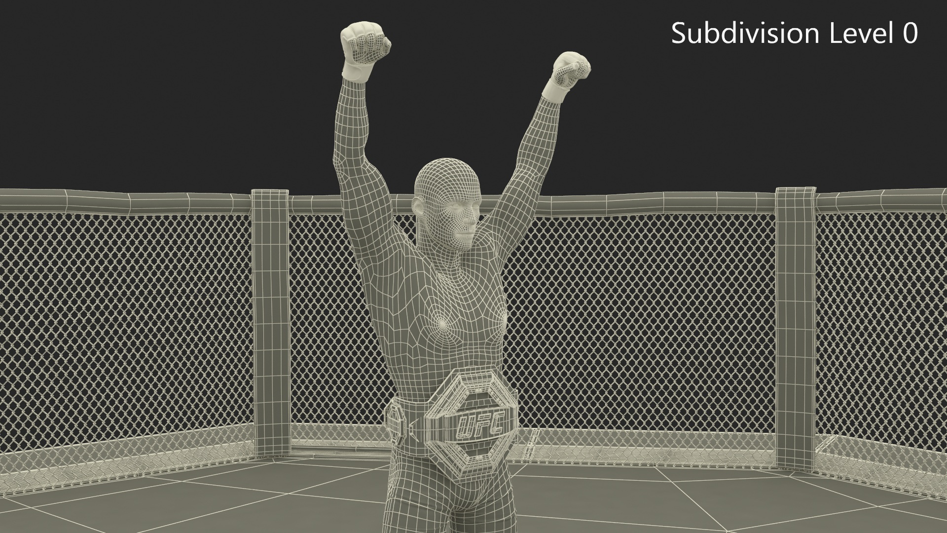 3D model UFC Fighting Arena with MMA Champion Fur