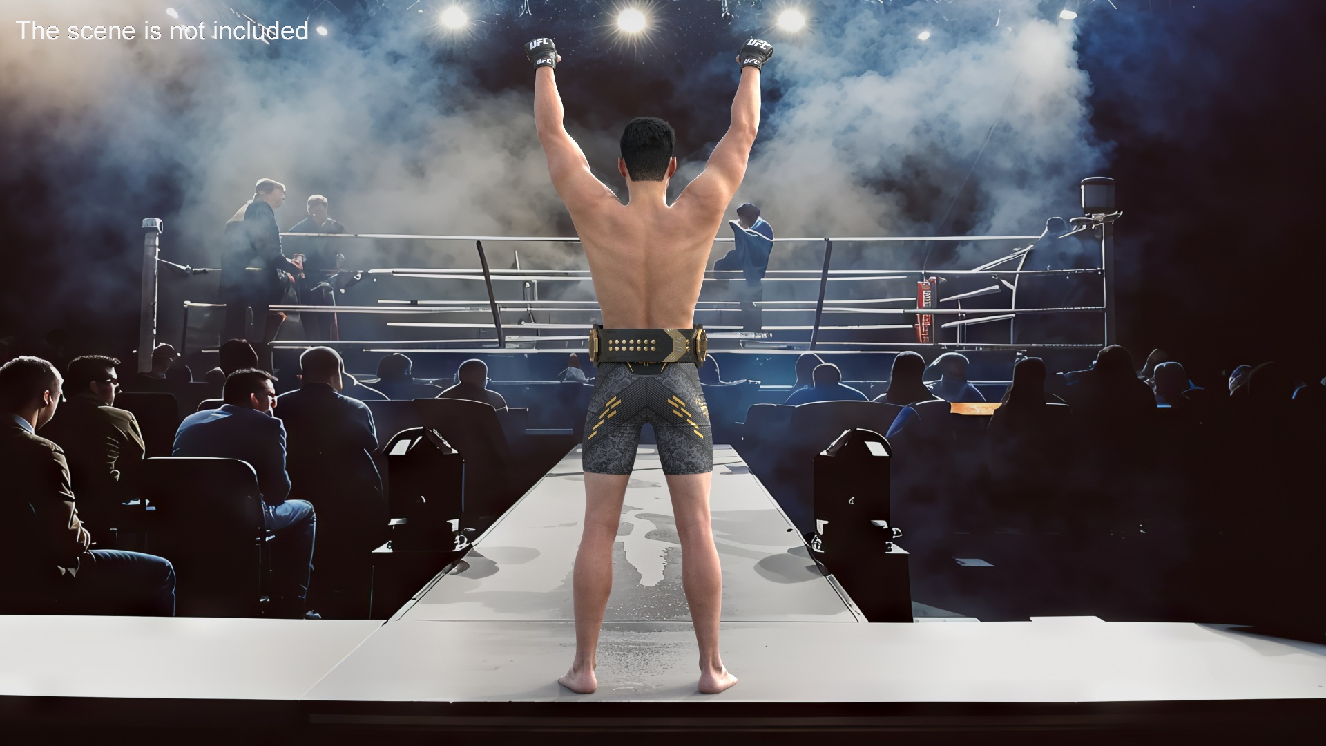 3D model UFC Fighting Arena with MMA Champion Fur