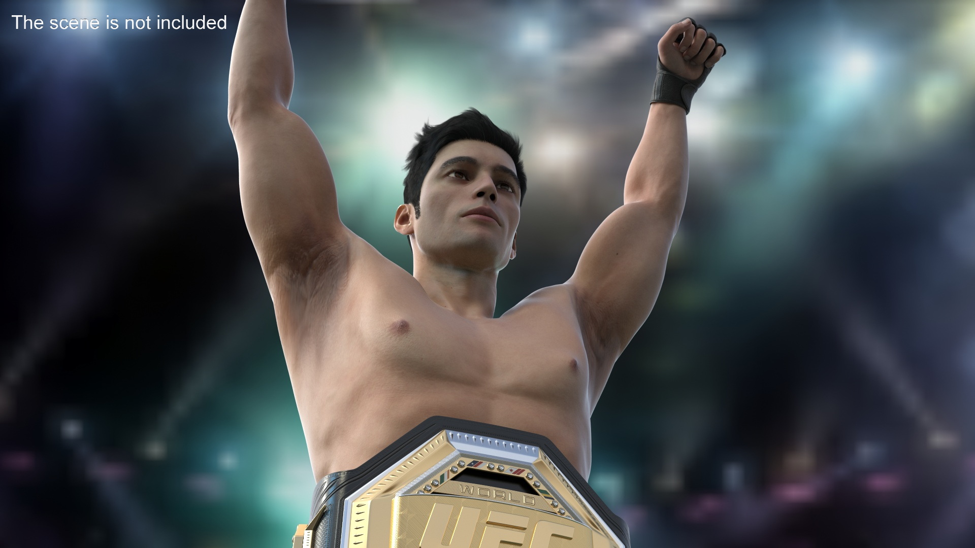 3D model UFC Fighting Arena with MMA Champion Fur