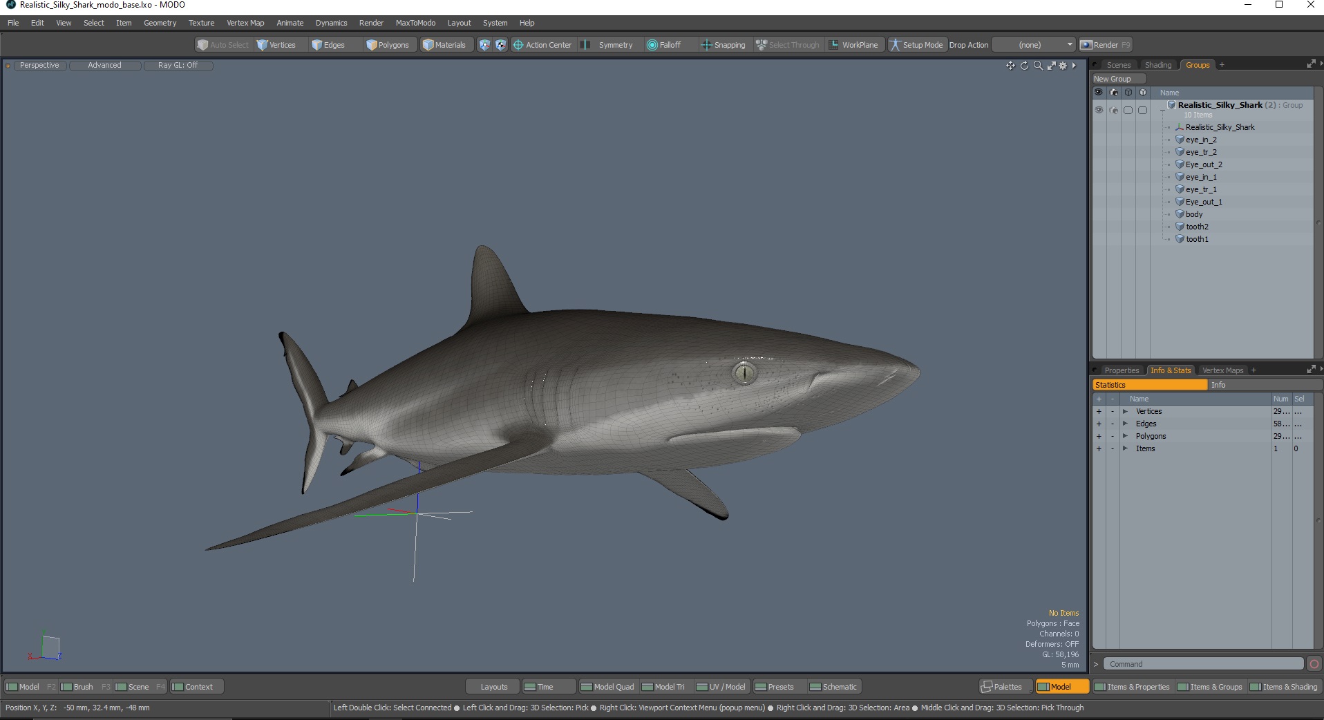 3D Realistic Silky Shark