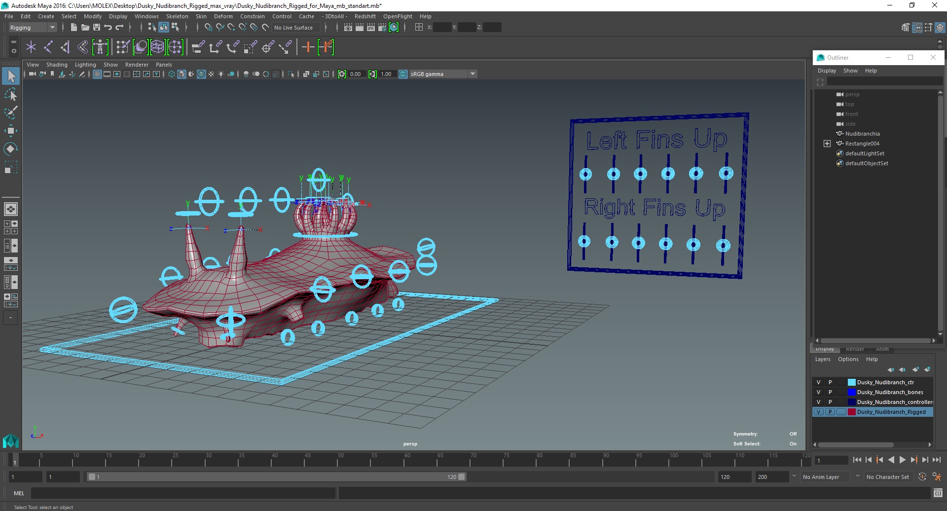 Dusky Nudibranch Rigged for Maya 3D