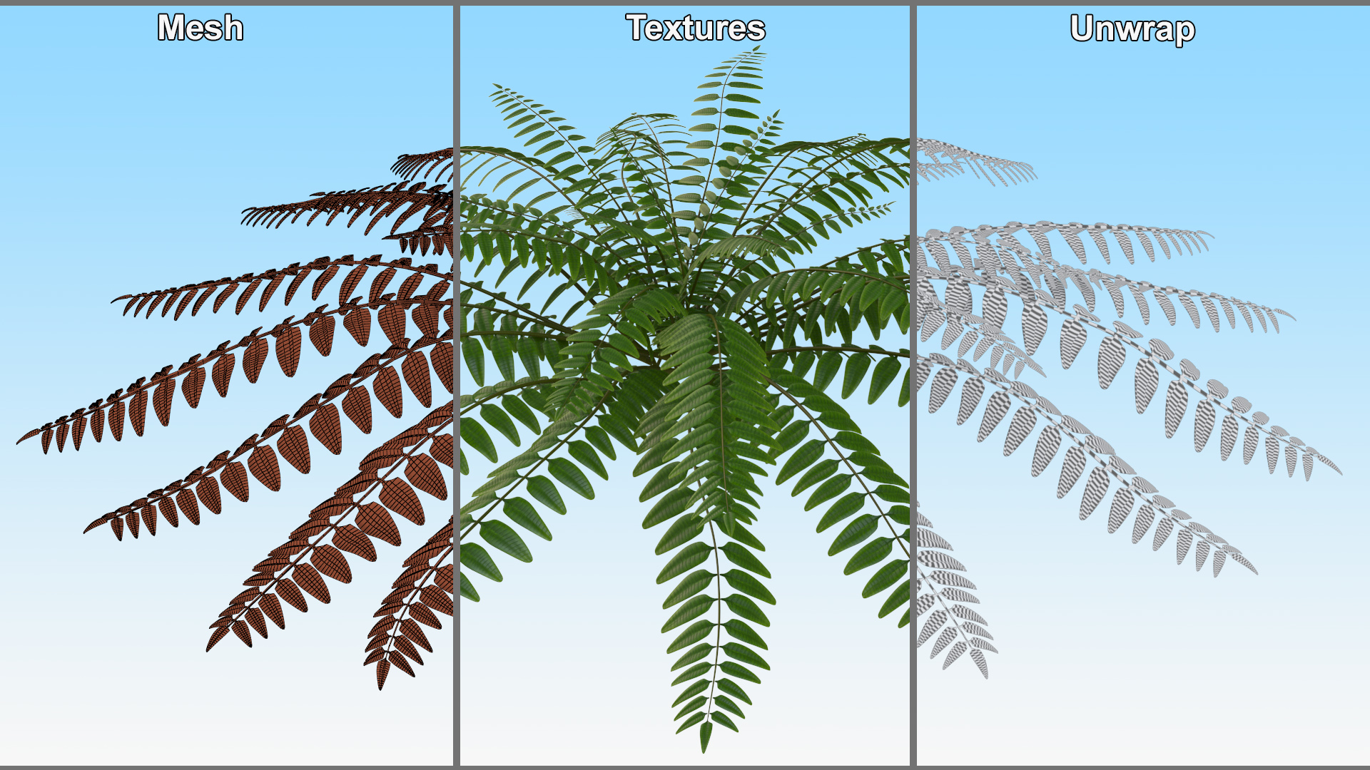 Realistic Tropical Fern Plant 3D model