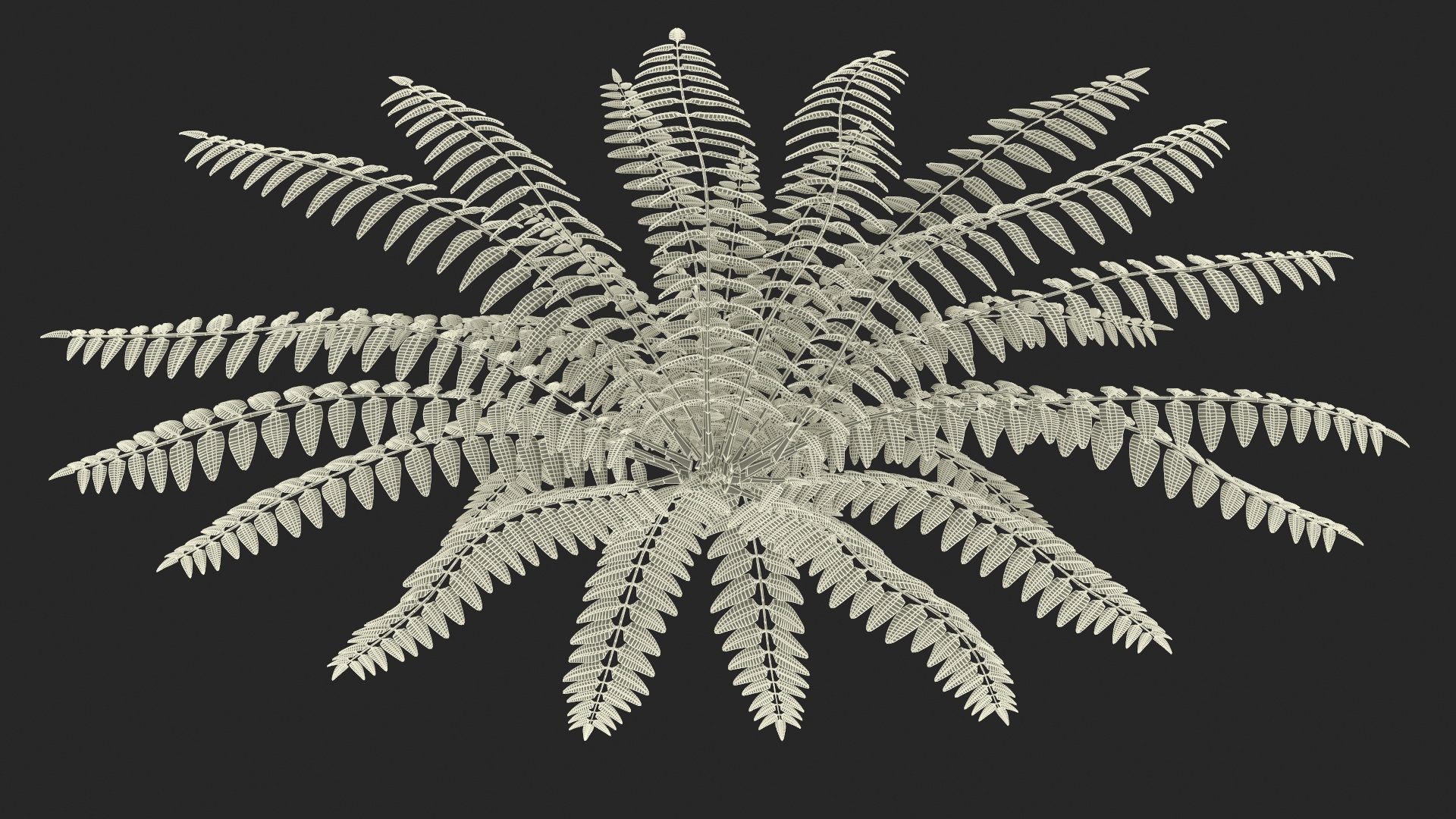 Realistic Tropical Fern Plant 3D model