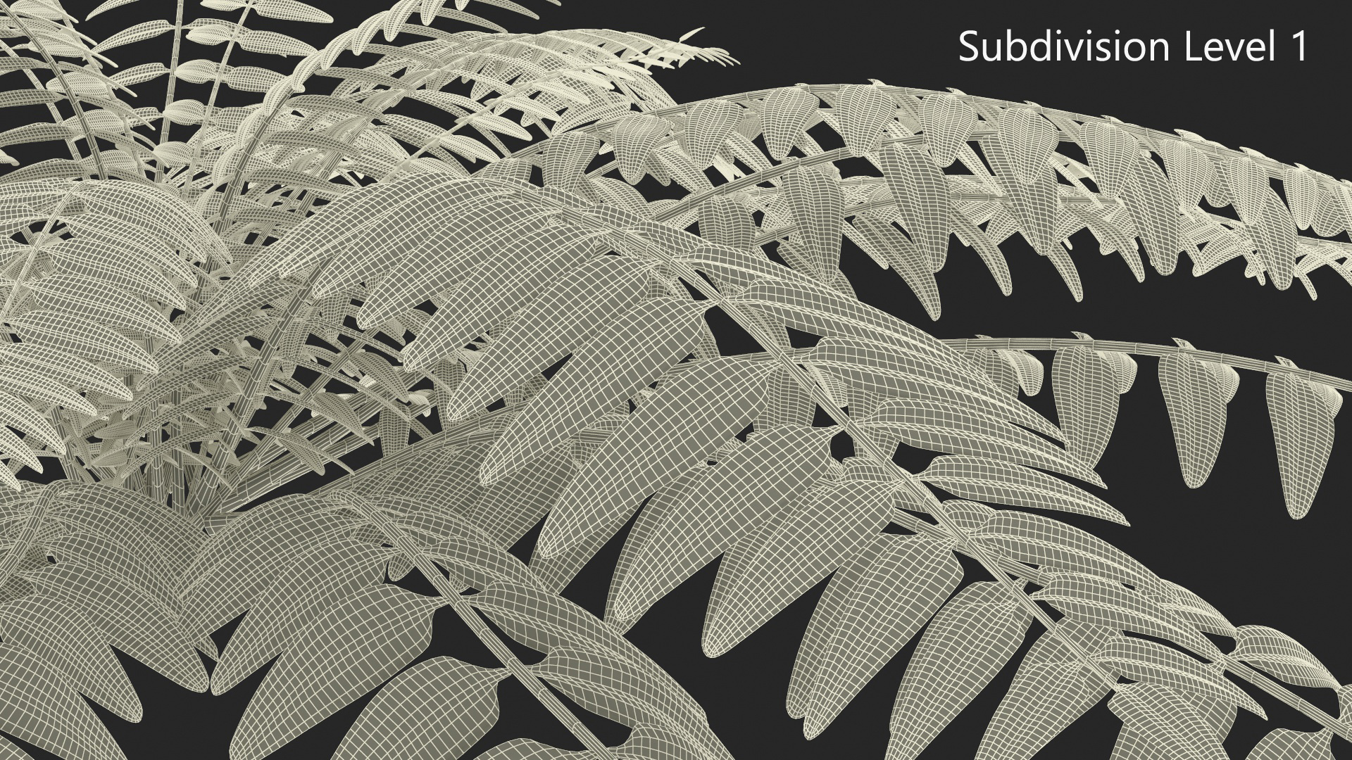 Realistic Tropical Fern Plant 3D model