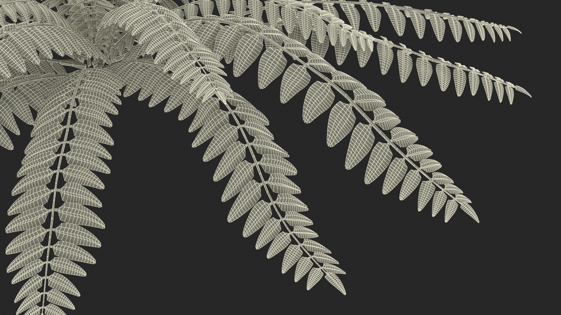 Realistic Tropical Fern Plant 3D model