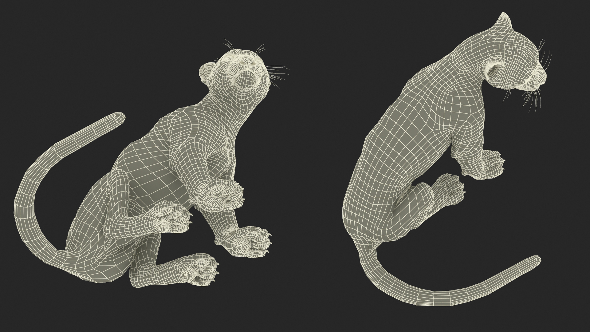 Snow Leopard in Sitting Pose Fur 3D