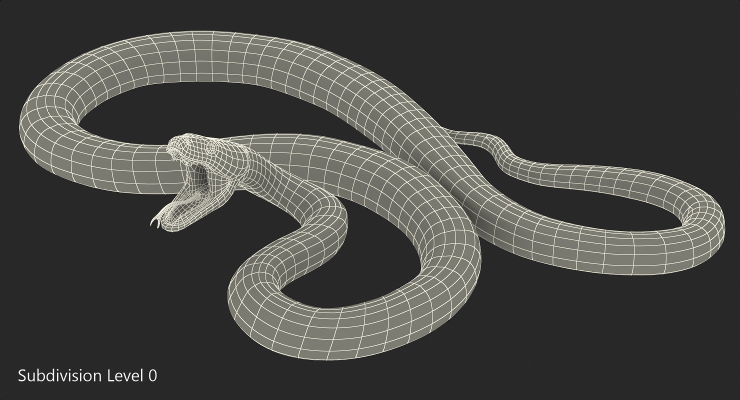 3D model Green Python Snake Attack Pose