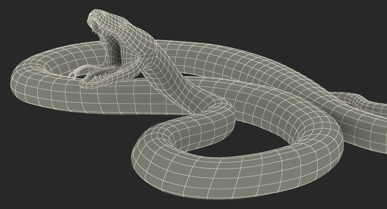 3D model Green Python Snake Attack Pose