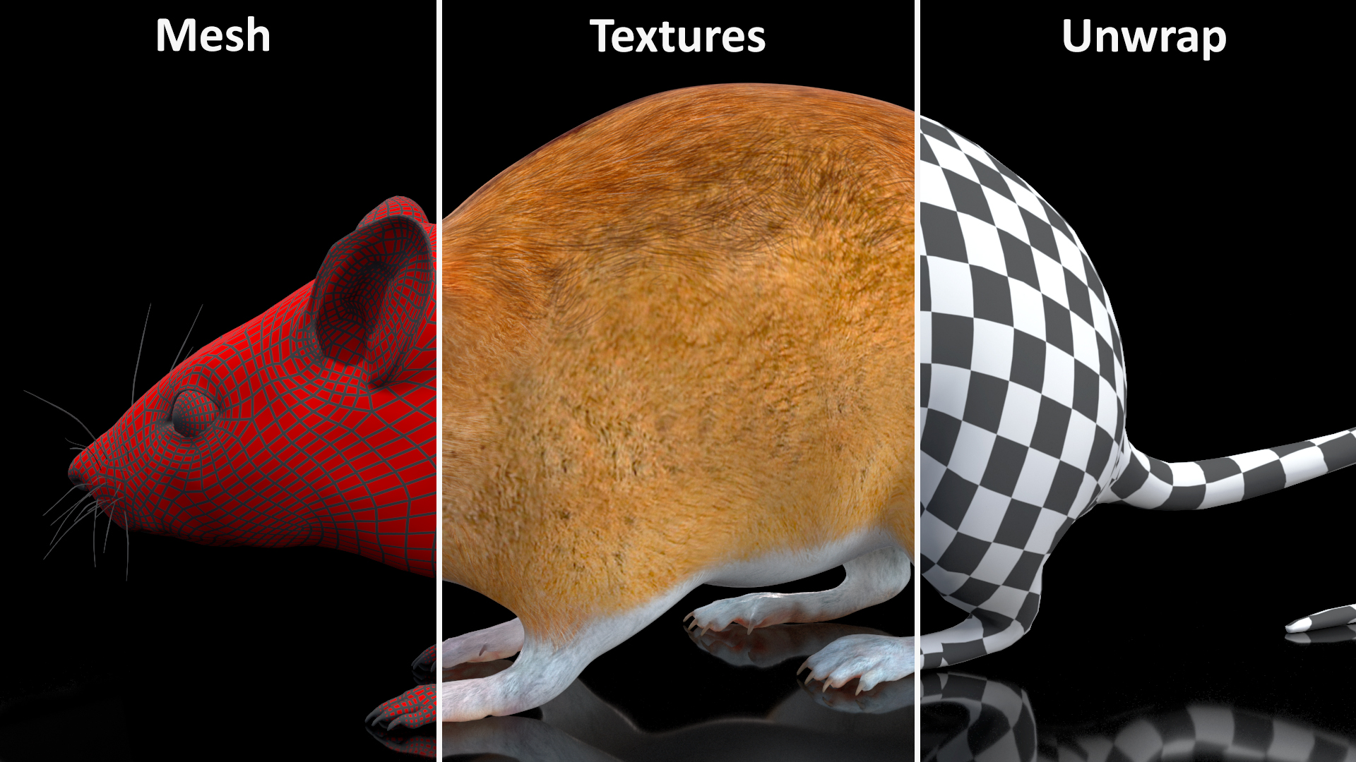 3D model Kakadu Pebble-mound Mouse Idle Pose