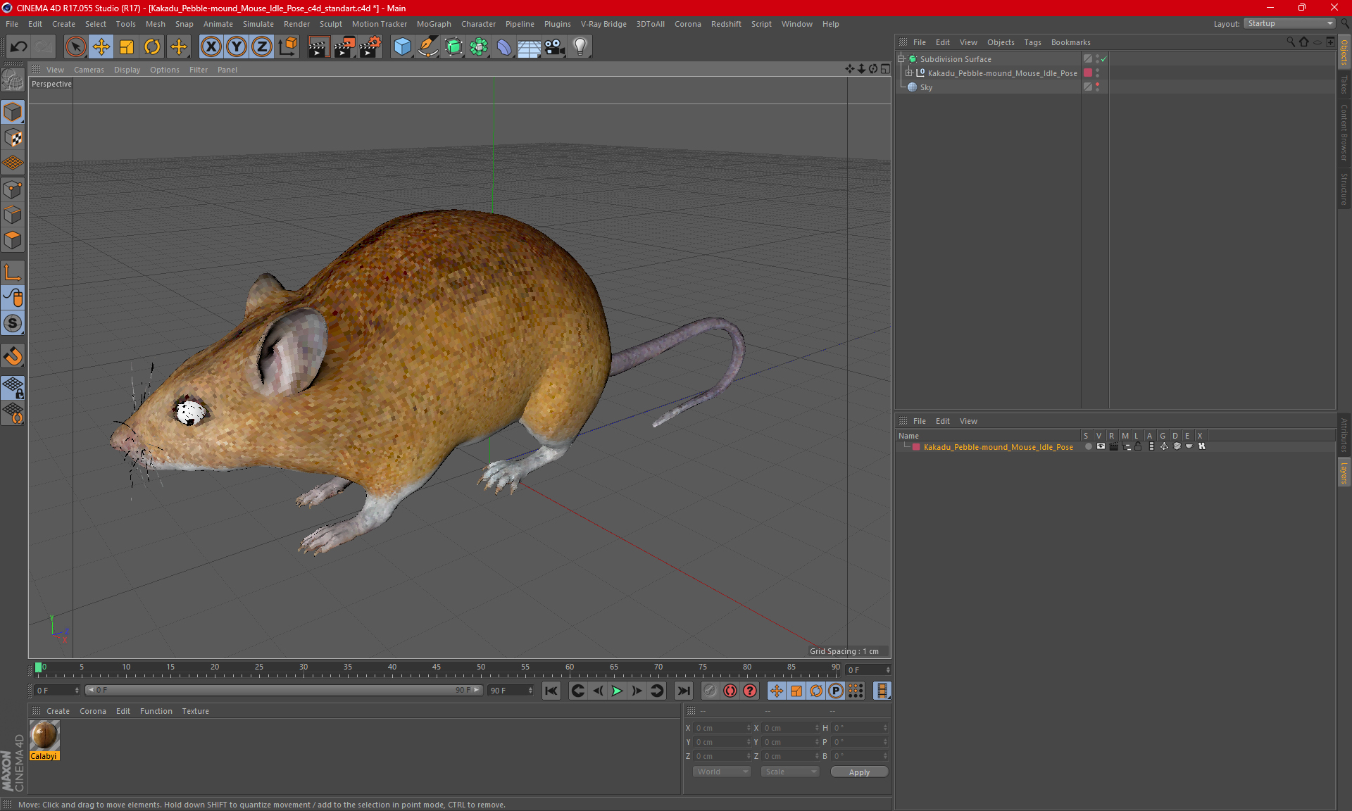 3D model Kakadu Pebble-mound Mouse Idle Pose