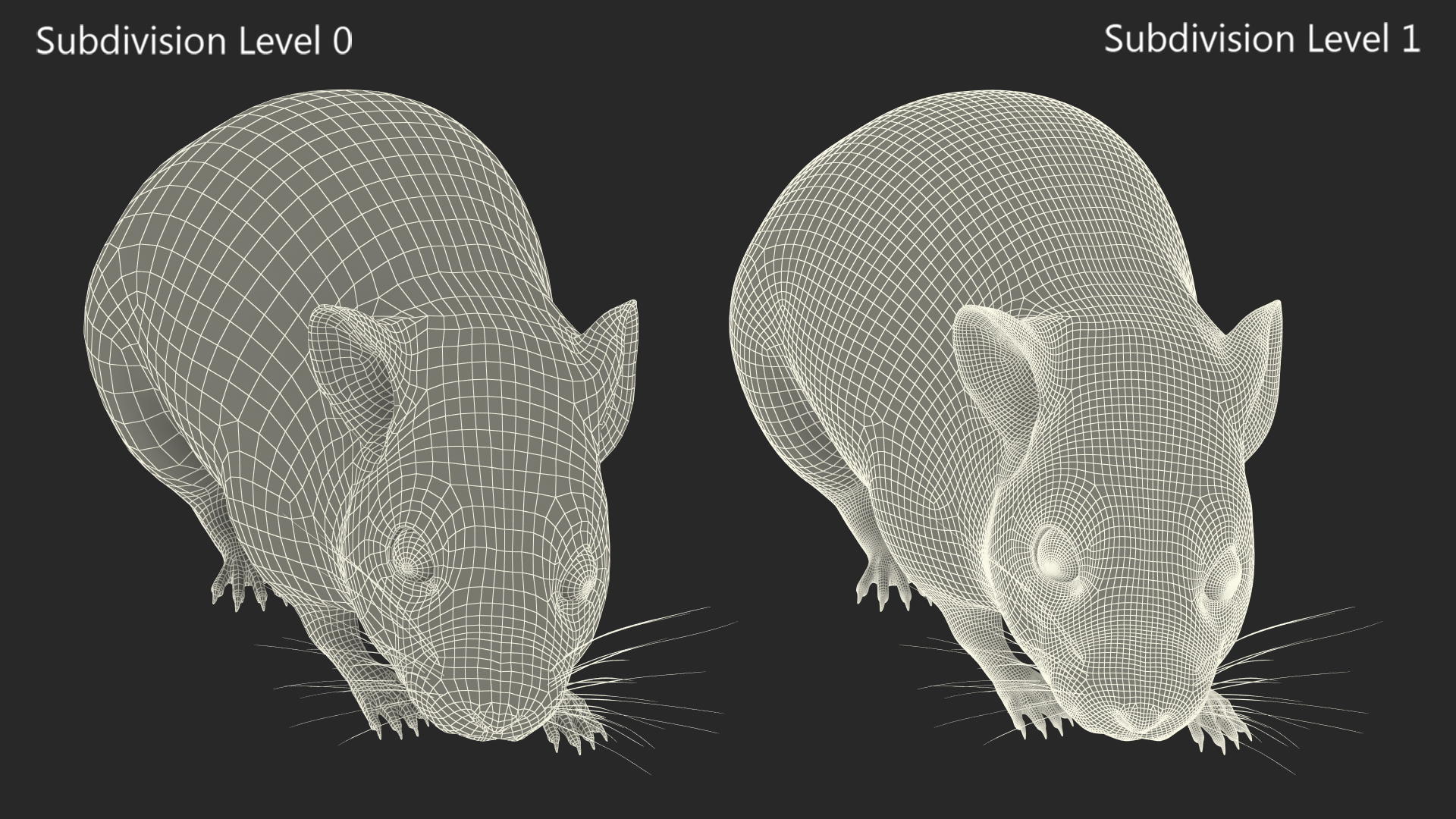 3D model Kakadu Pebble-mound Mouse Idle Pose