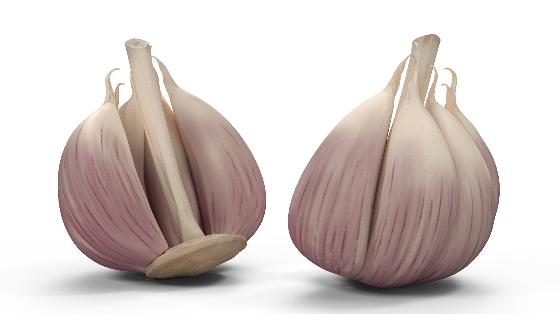 3D model Half Head of Garlic White