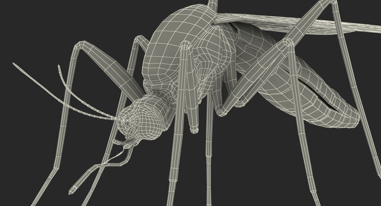 Mosquito with Fur 3D