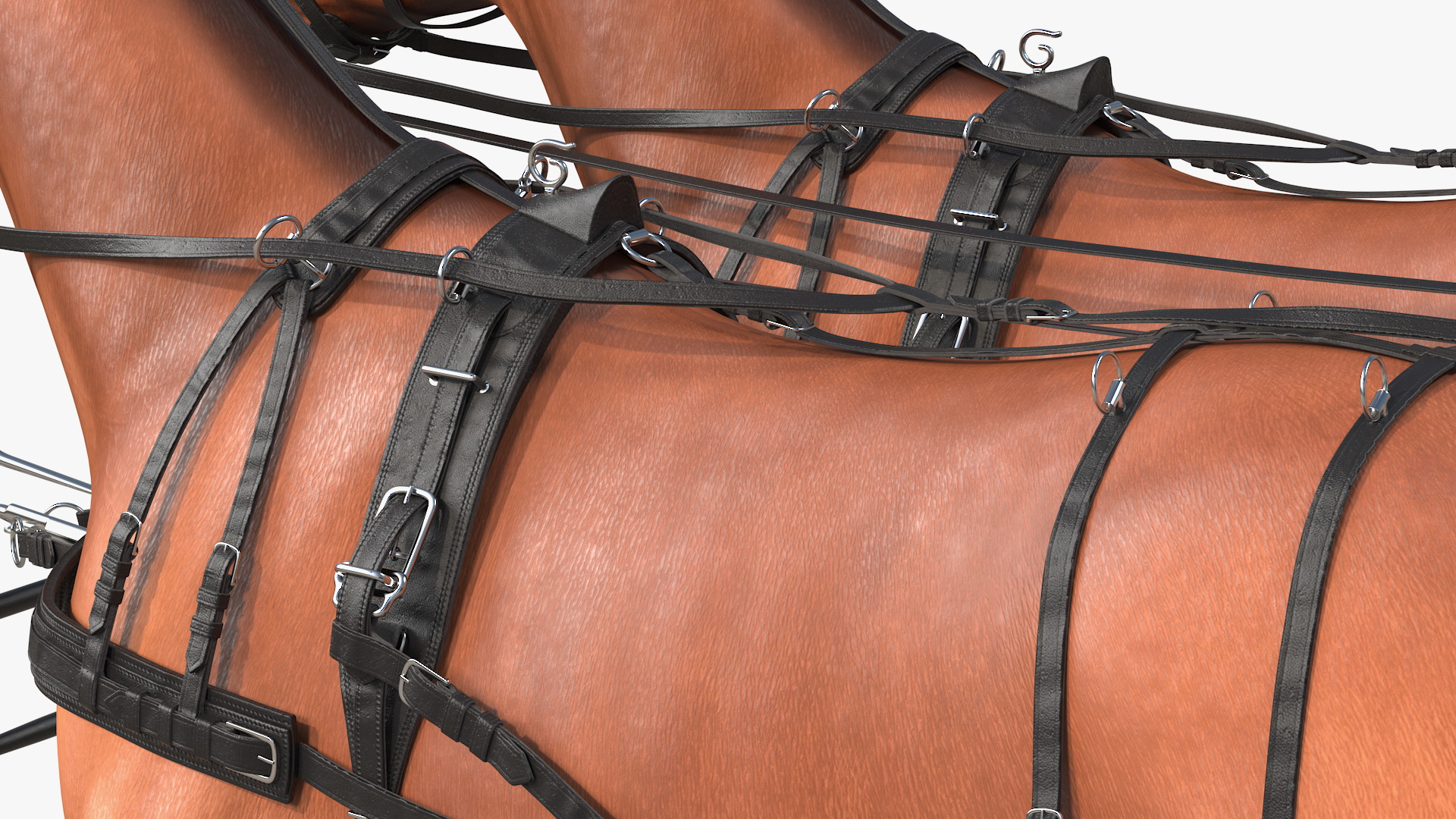 Team of Four Breast Collar Harness 3D model