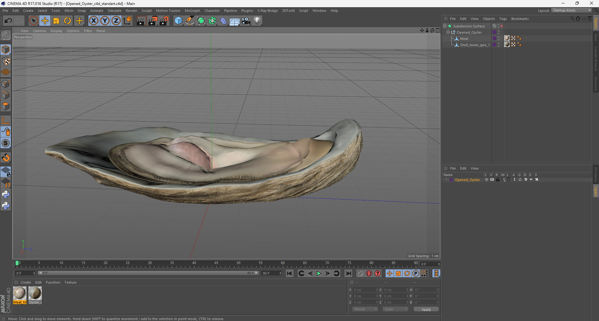 3D Opened Oyster model